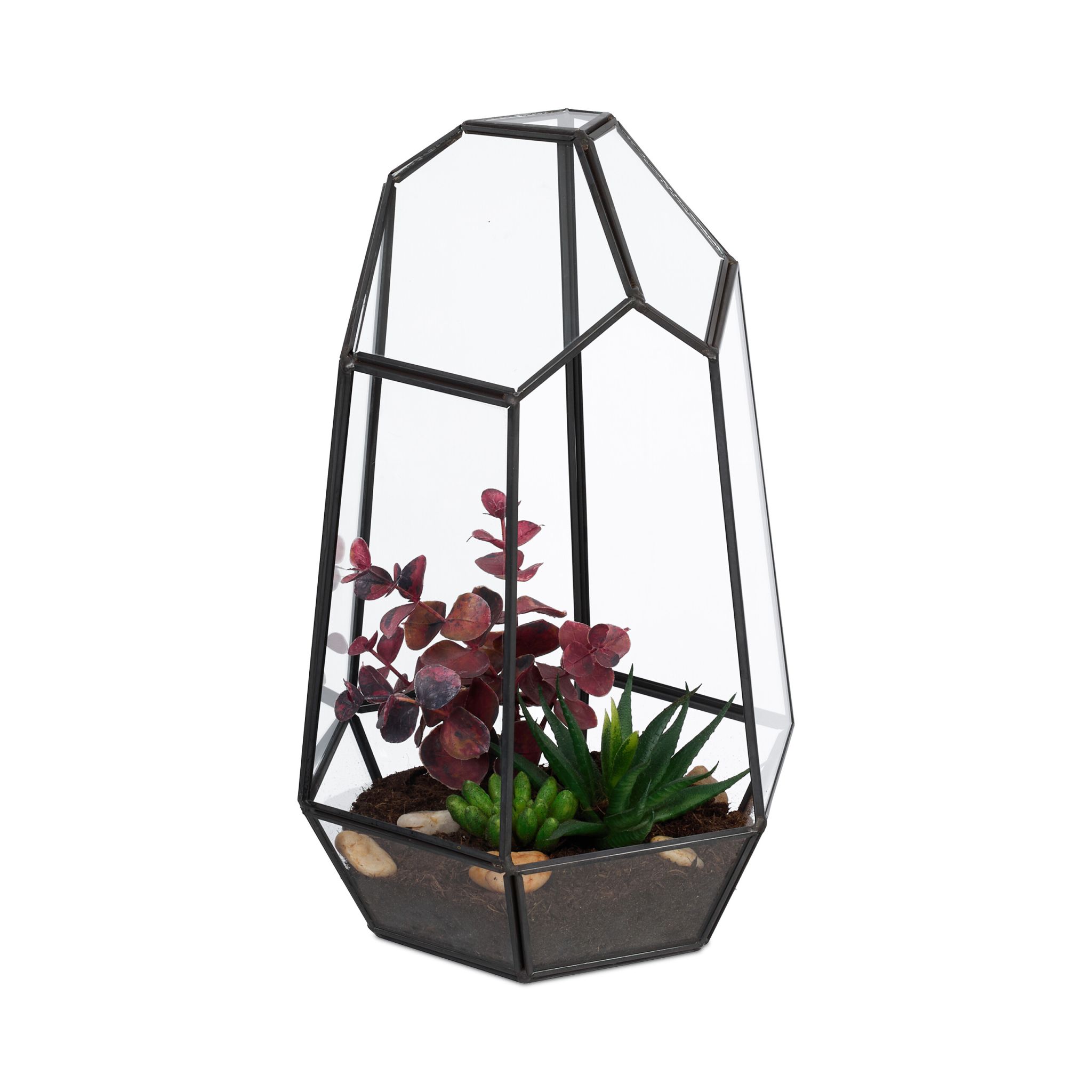 Geometrisches Pflanzenterrarium Glas Schwarz-Transparent