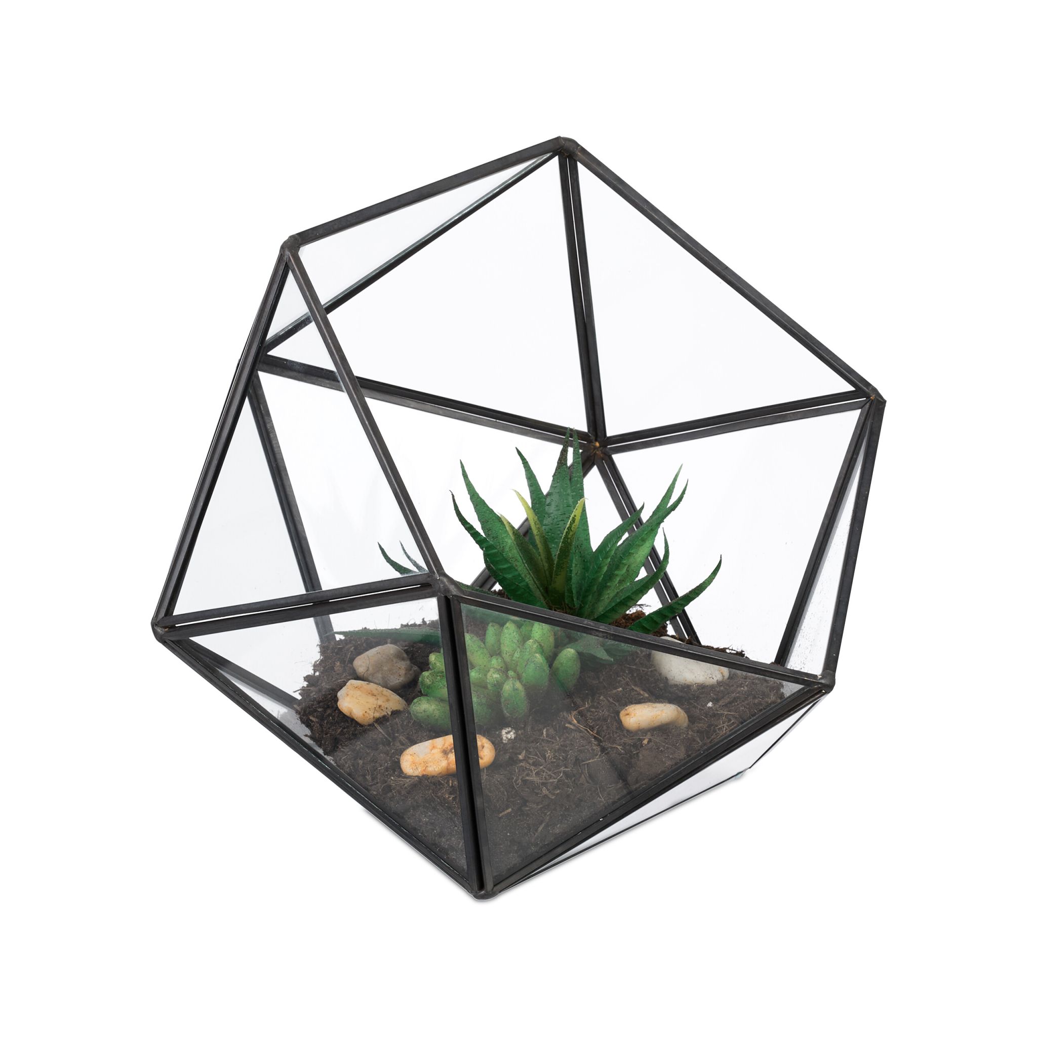 Geometrisches Pflanzenterrarium Glas Schwarz-Transparent