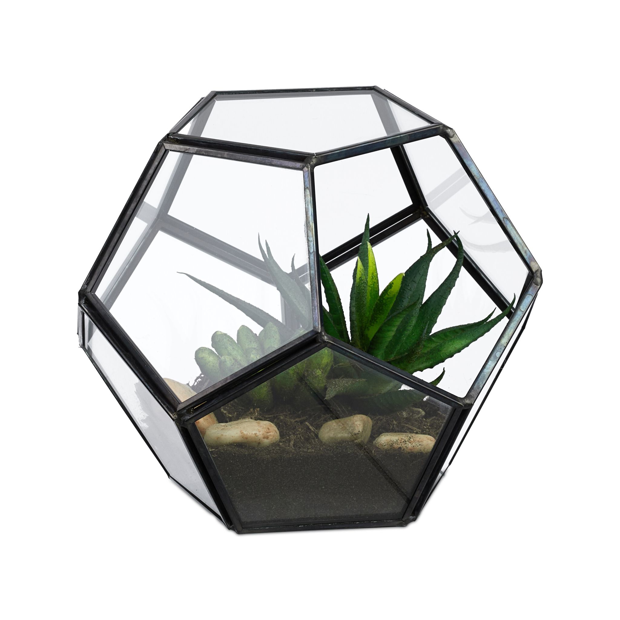 Geometrisches Pflanzenterrarium Glas Schwarz-Transparent