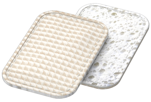 Luffa Schwamm NUTS