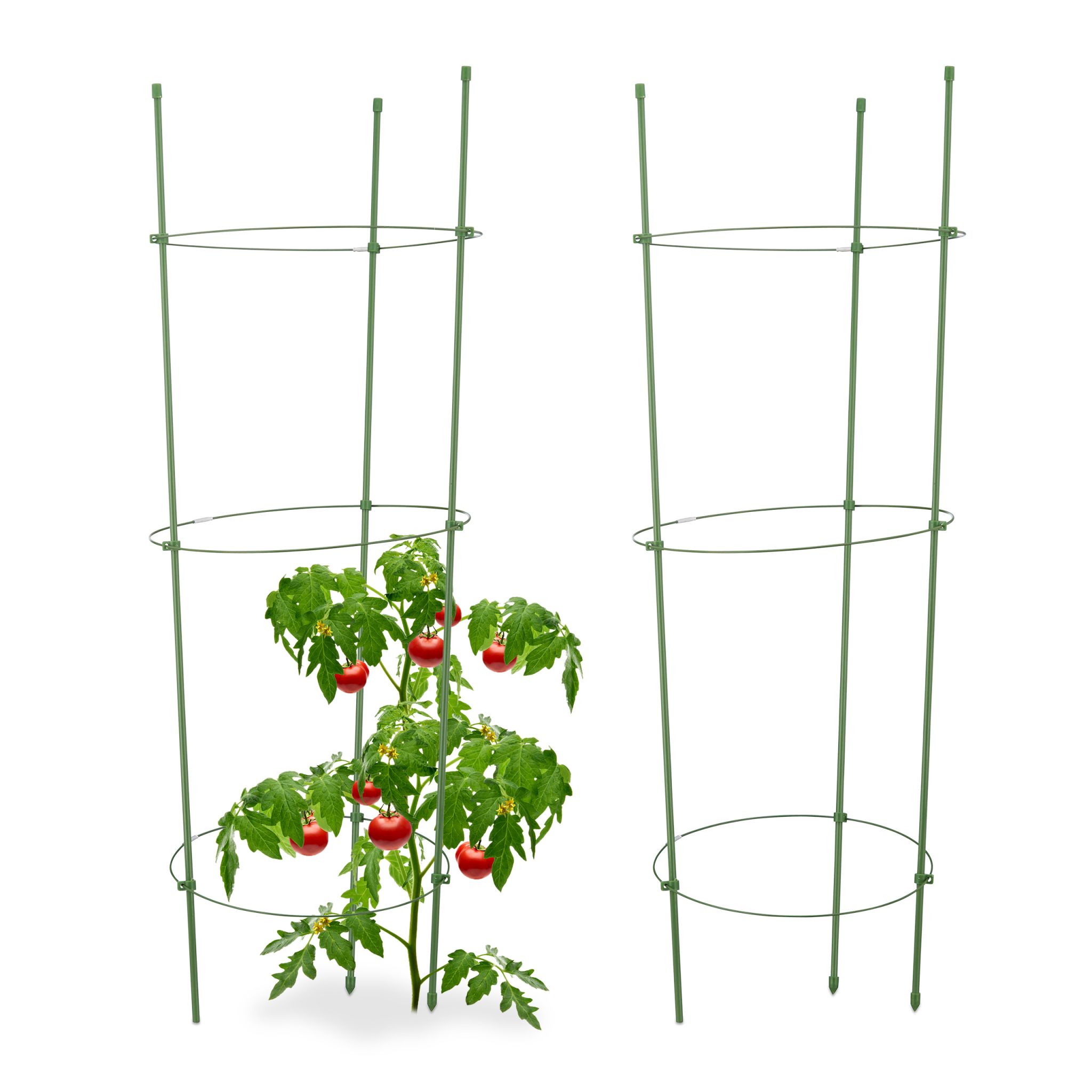 Rankhilfe Tomaten 2er-Set Grün