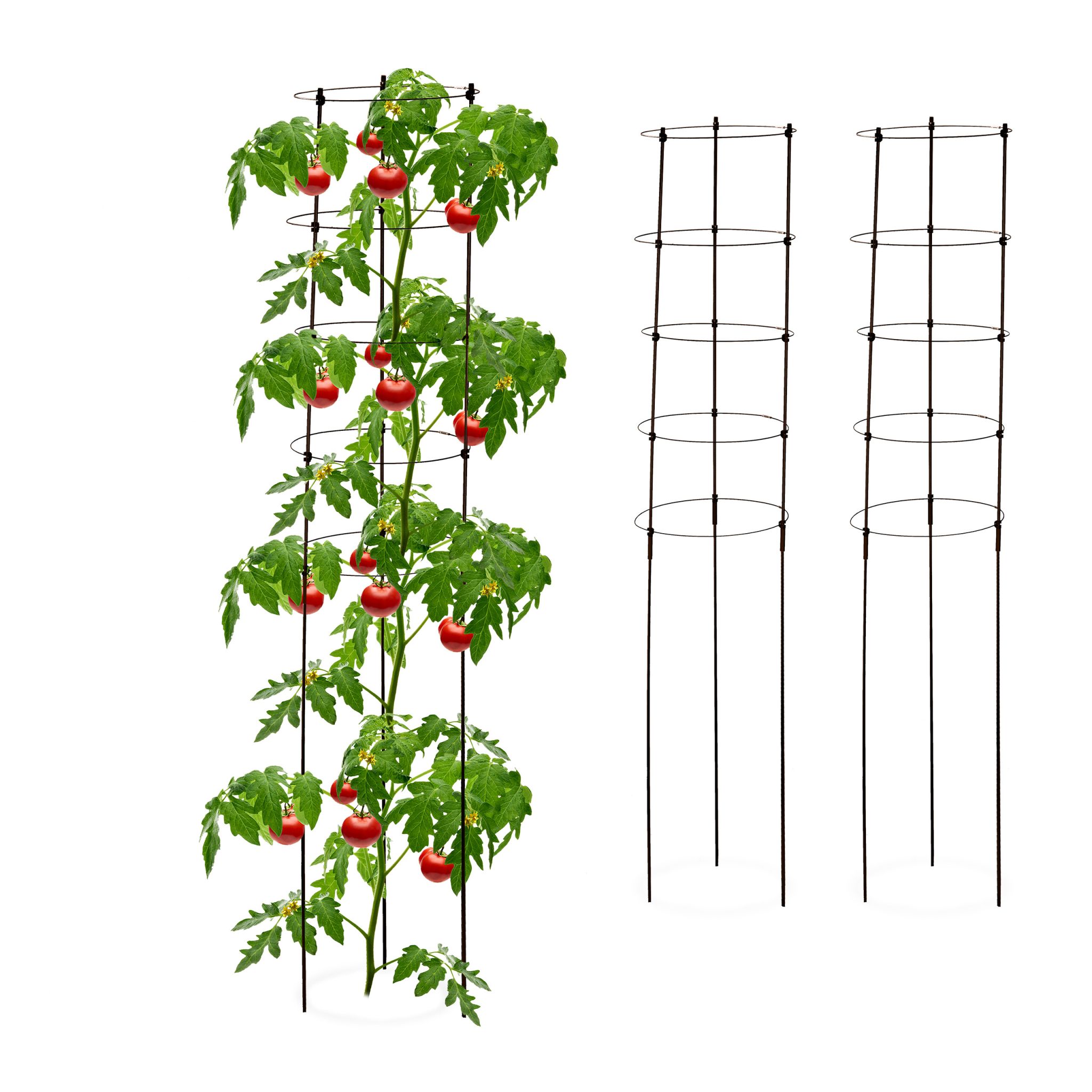Rankhilfe 150cm 3er-Set Schwarz