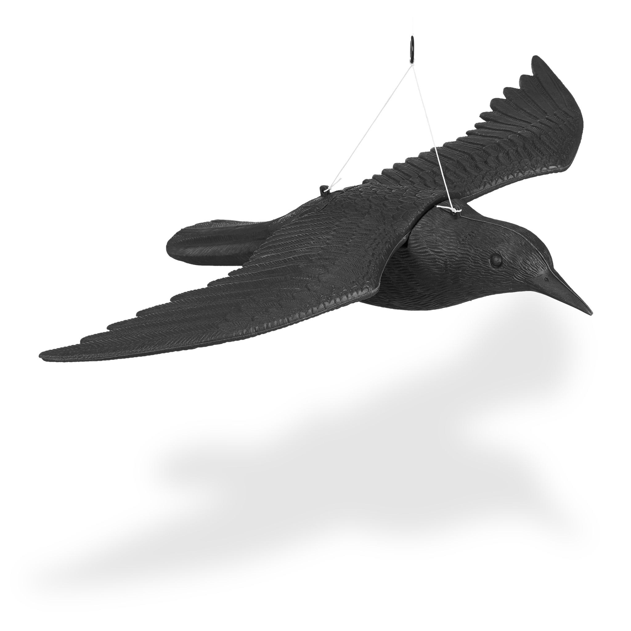 Taubenschreck Krähe fliegend Schwarz