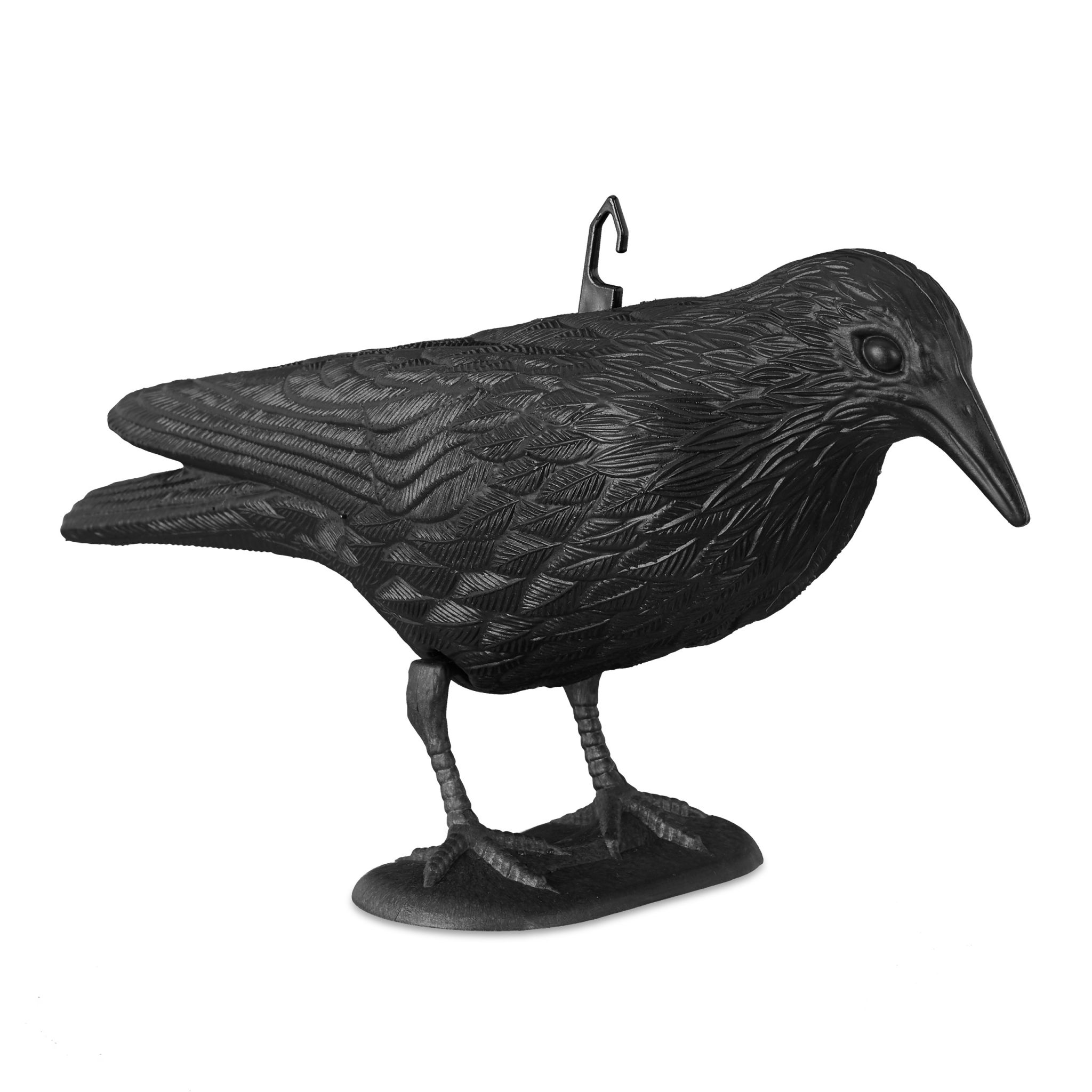 Taubenschreck Krähe sitzend Schwarz