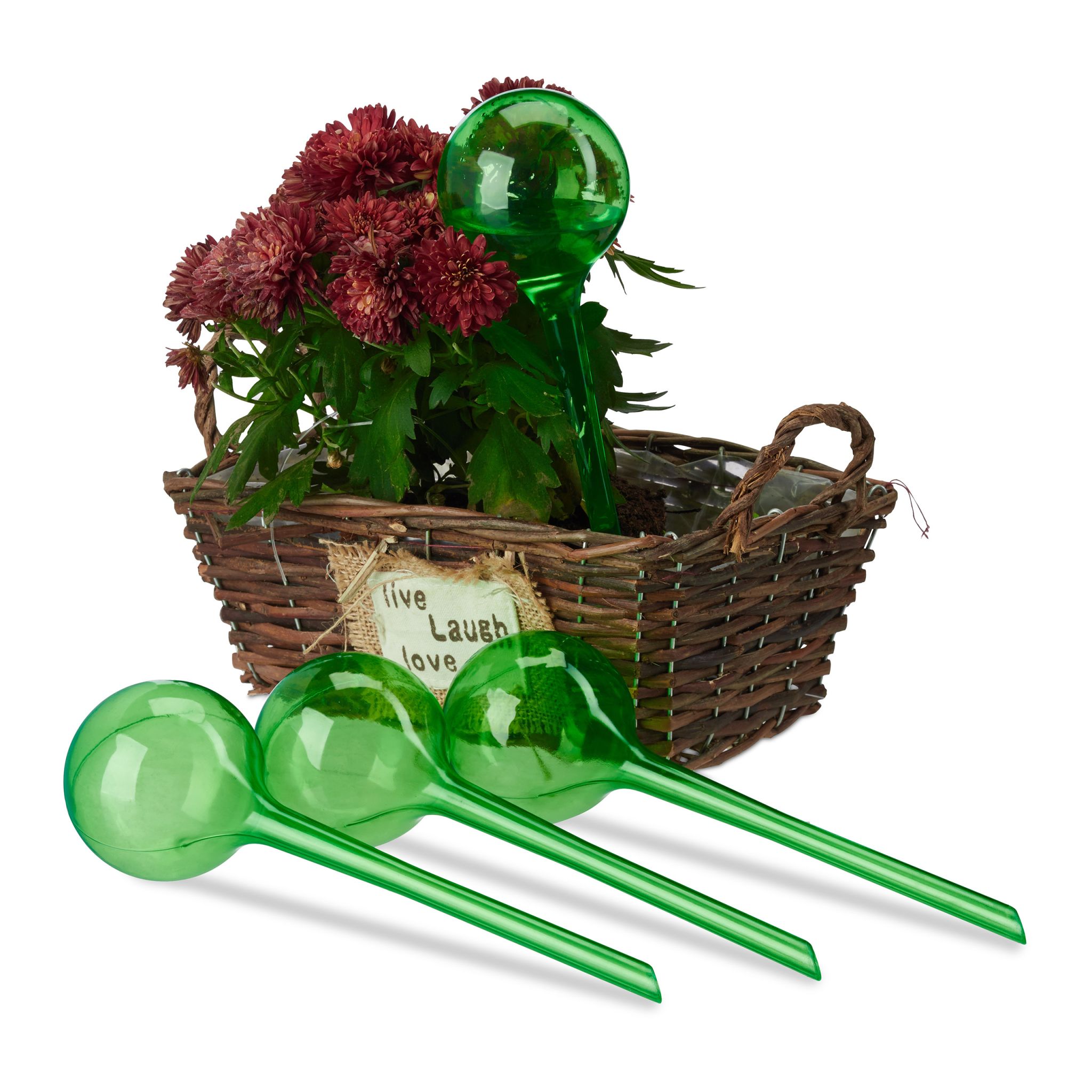 Bewässerungskugeln 4er-Set Grün