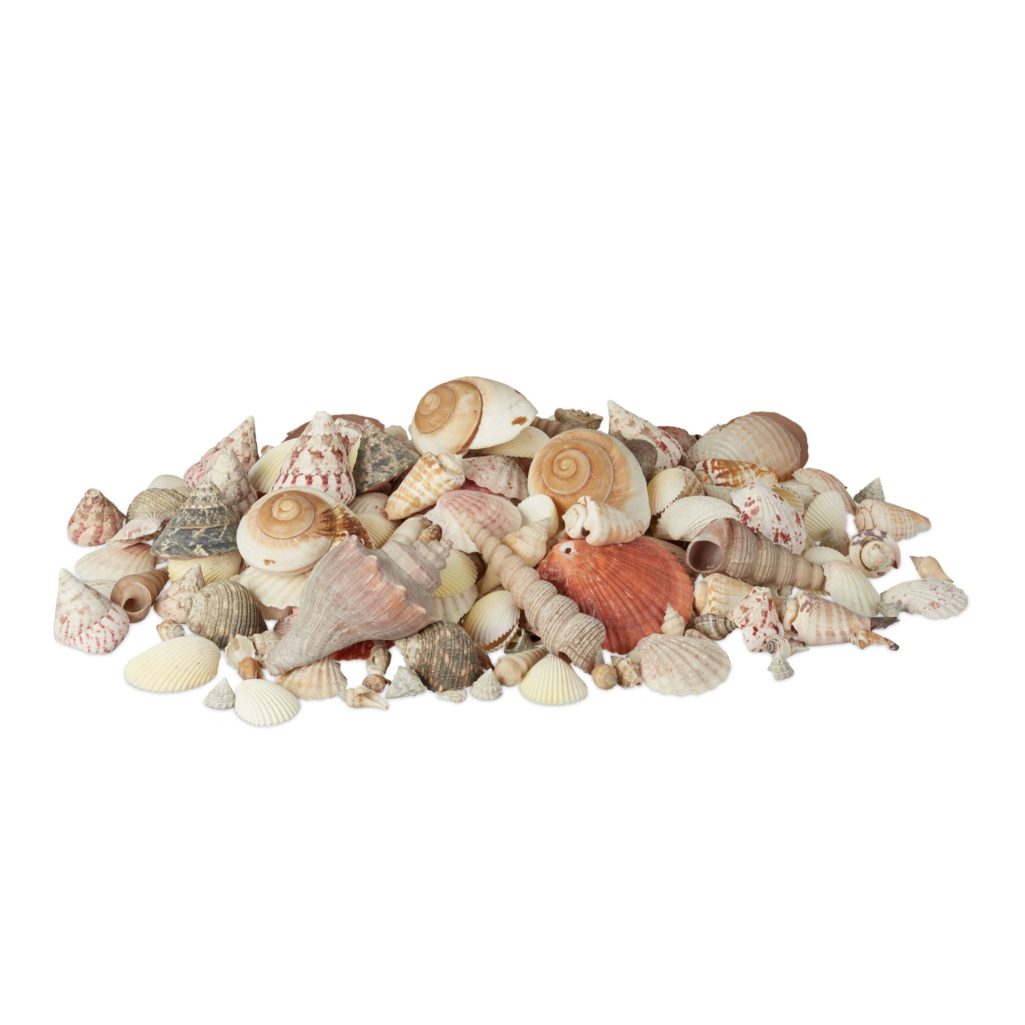 Muschel Deko mit Meeresschnecken 2kg Creme-Hellbraun-Rosa