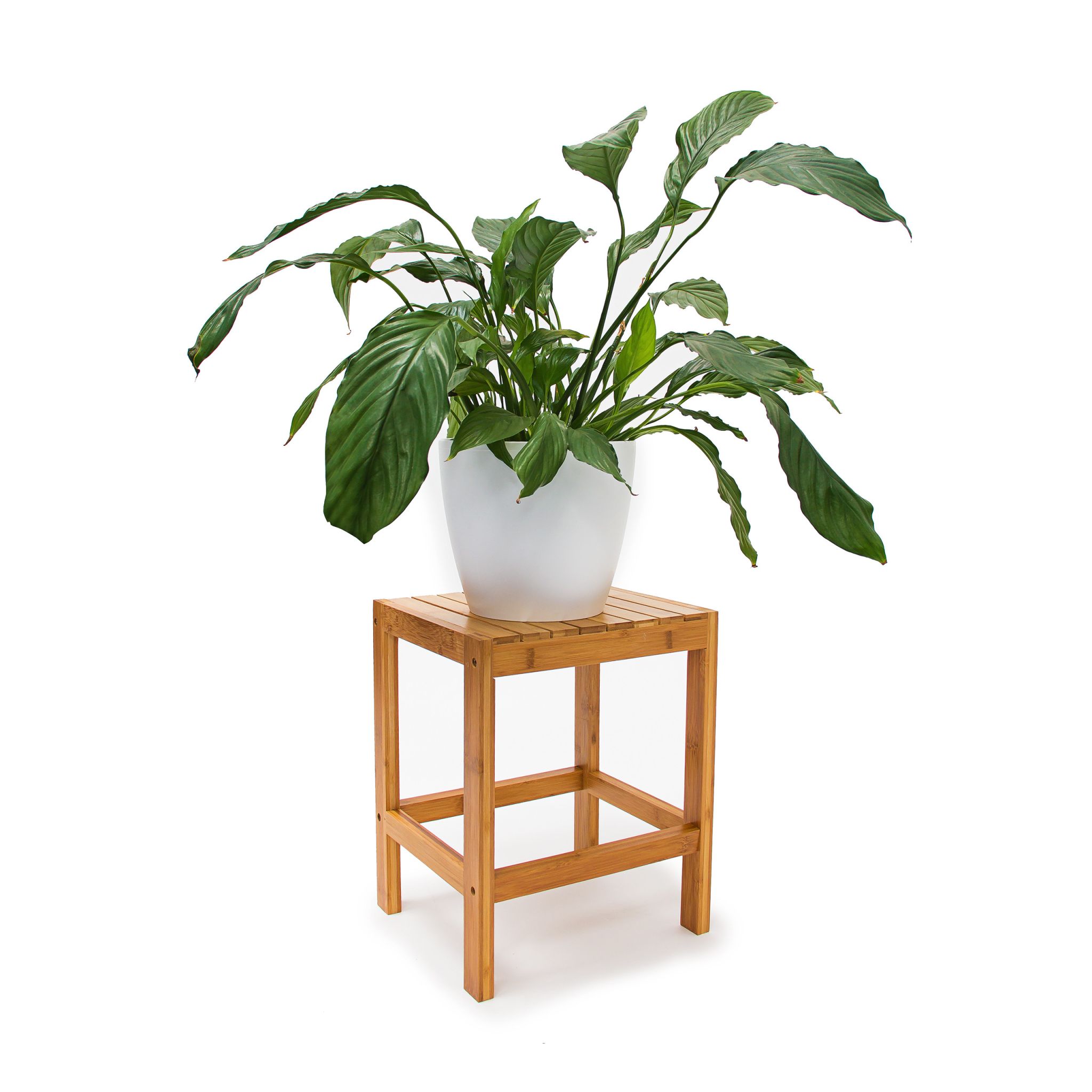 Blumenhocker Bambus Hellbraun