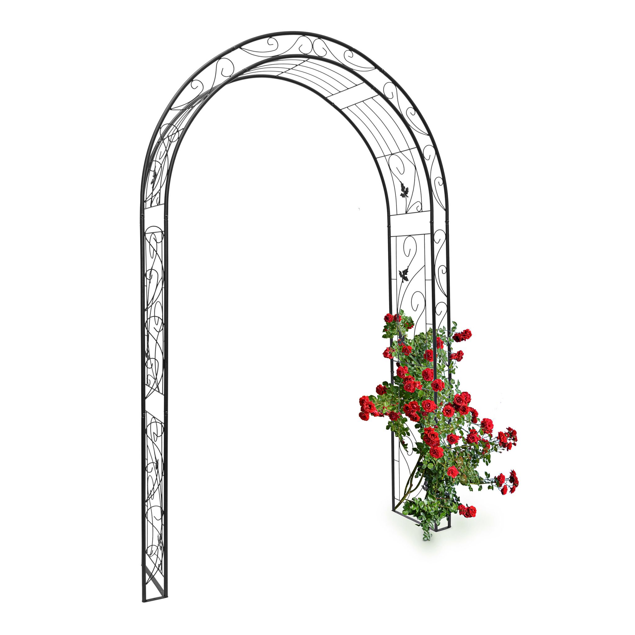 Rosenbogen Blatt Schwarz