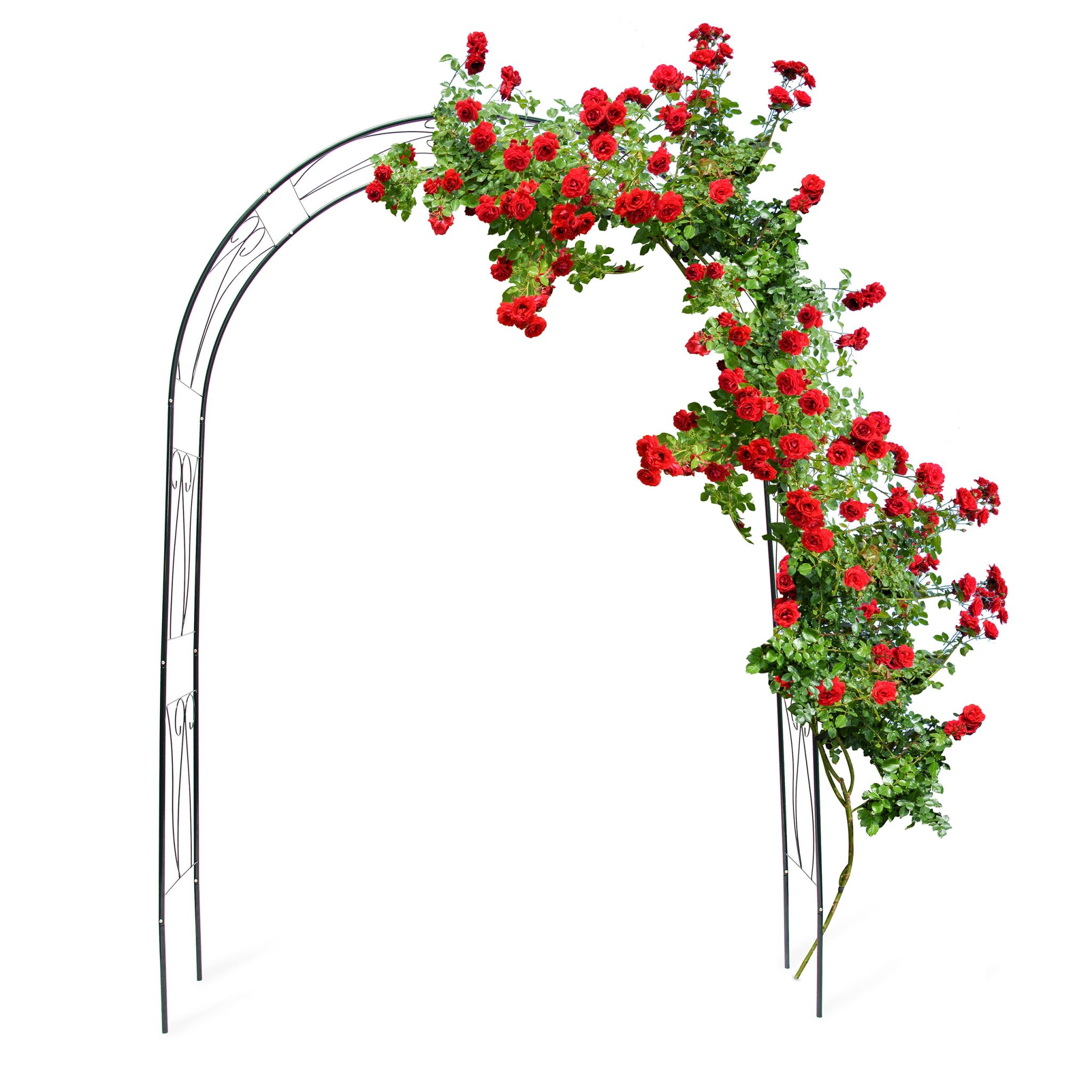 Rankbogen für Rosen mit Verzierung Dunkelgrün