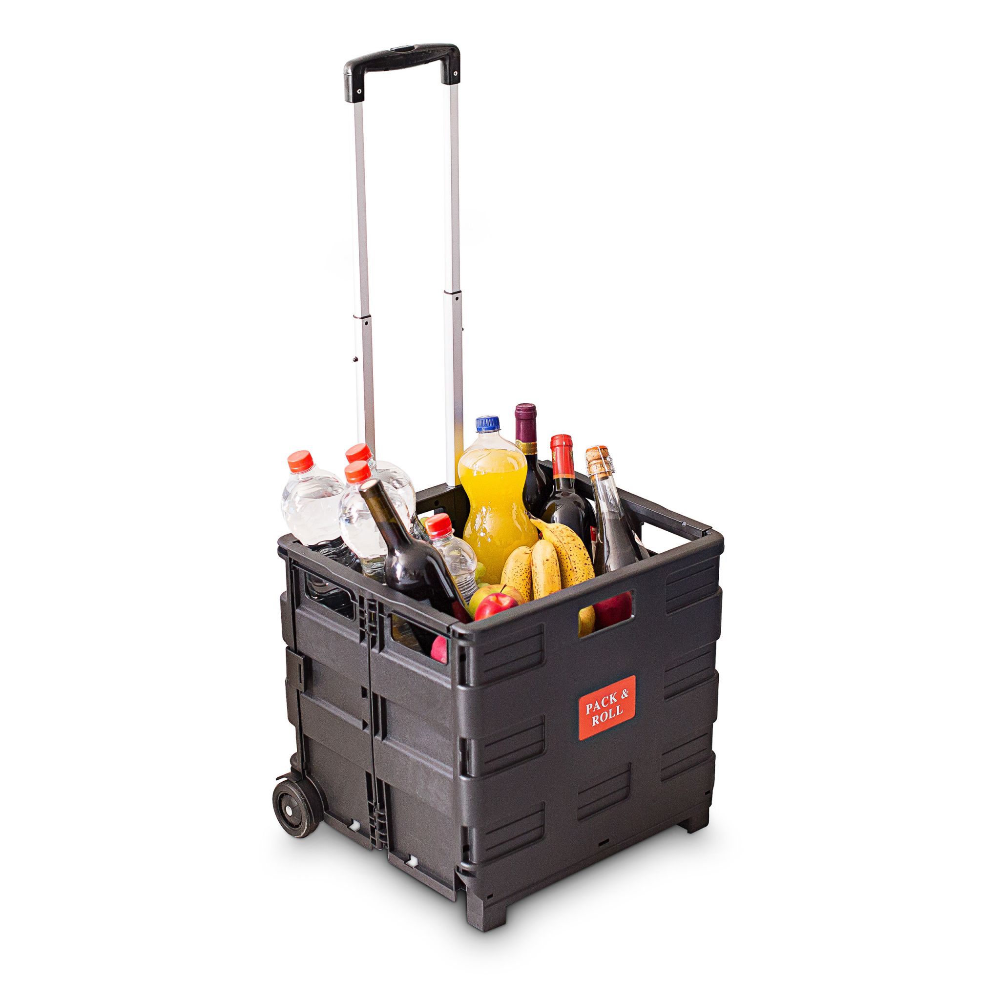 Einkaufstrolley klappbar bis 35kg Schwarz