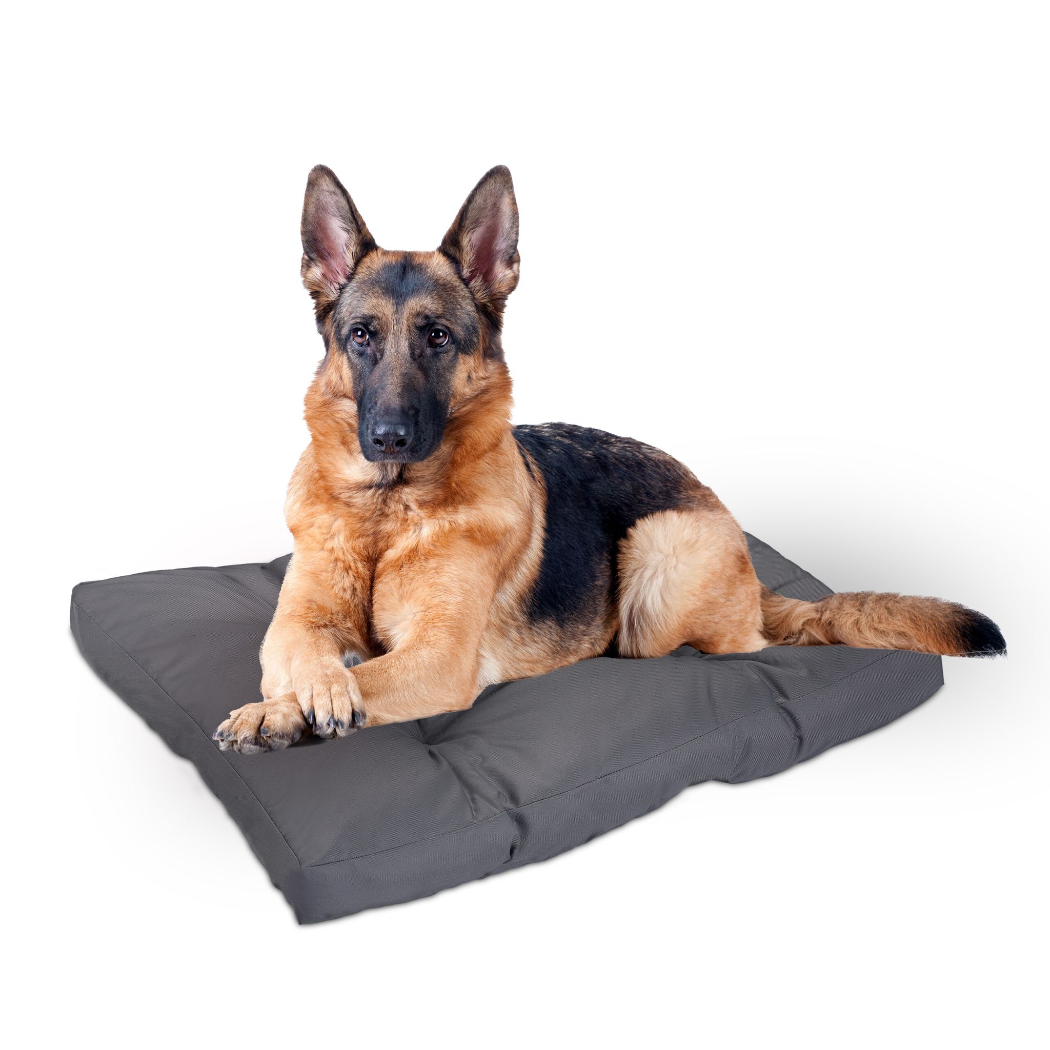 Hundebett grau Grau