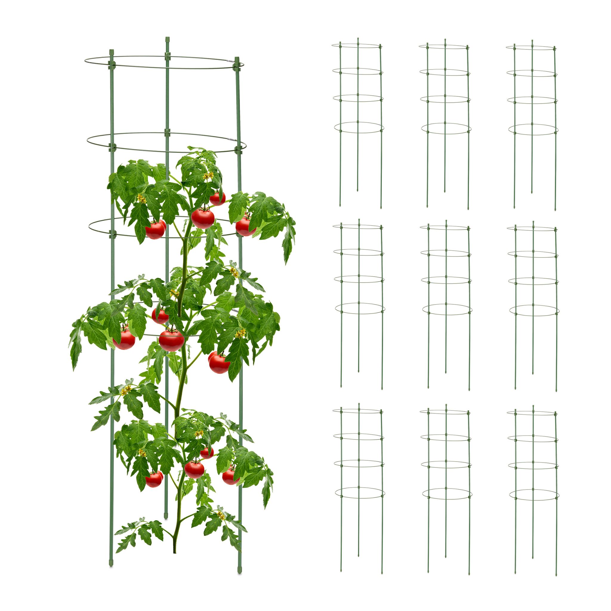 Rankhilfe 90cm 10er-Set Grün