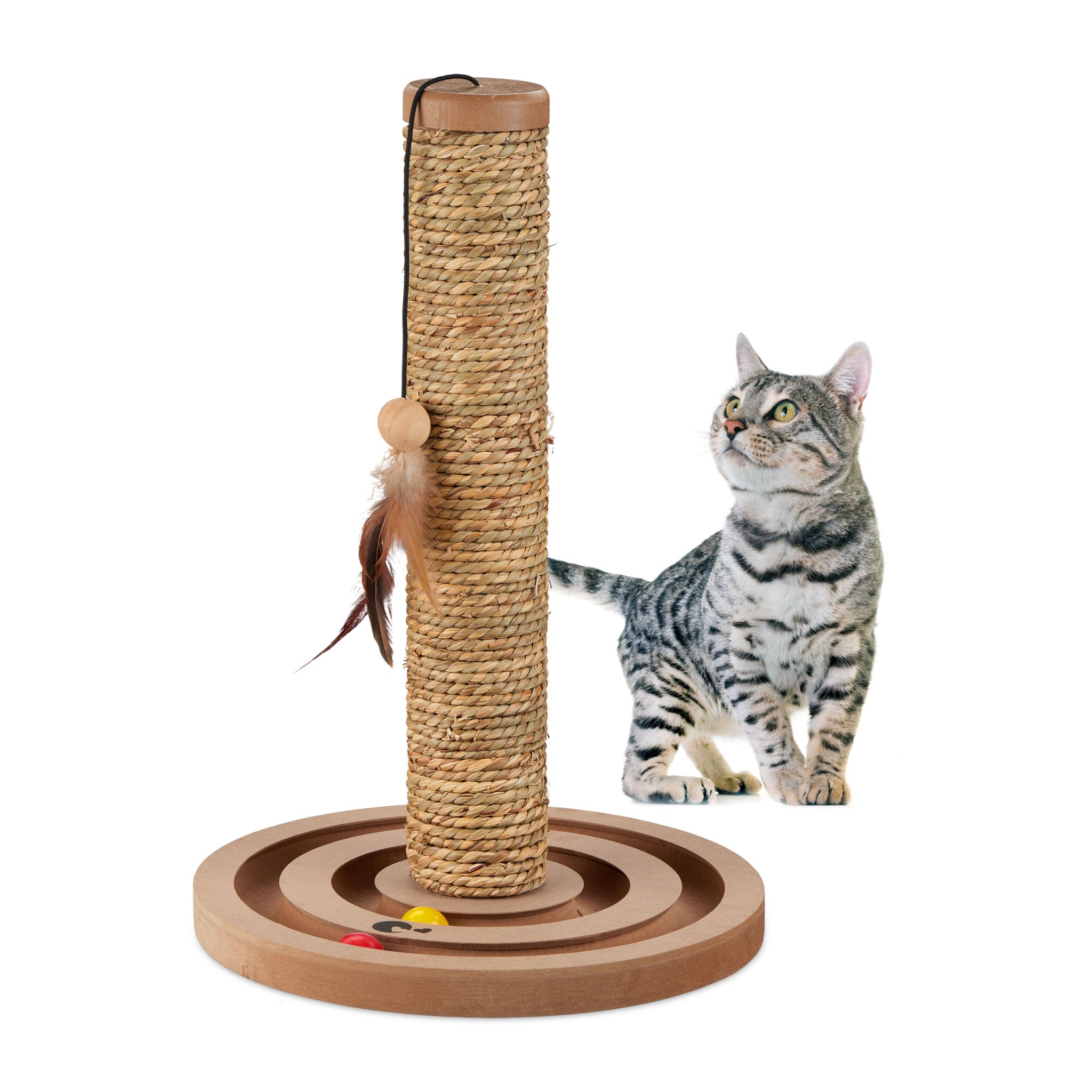 Kratzsäule mit Spielzeug Beige-Braun-Rot