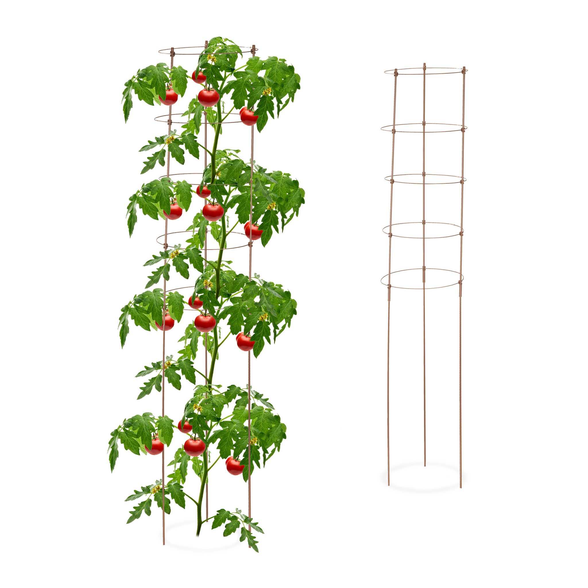 Rankhilfe 150cm 2er-Set braun Braun-Dunkelbraun