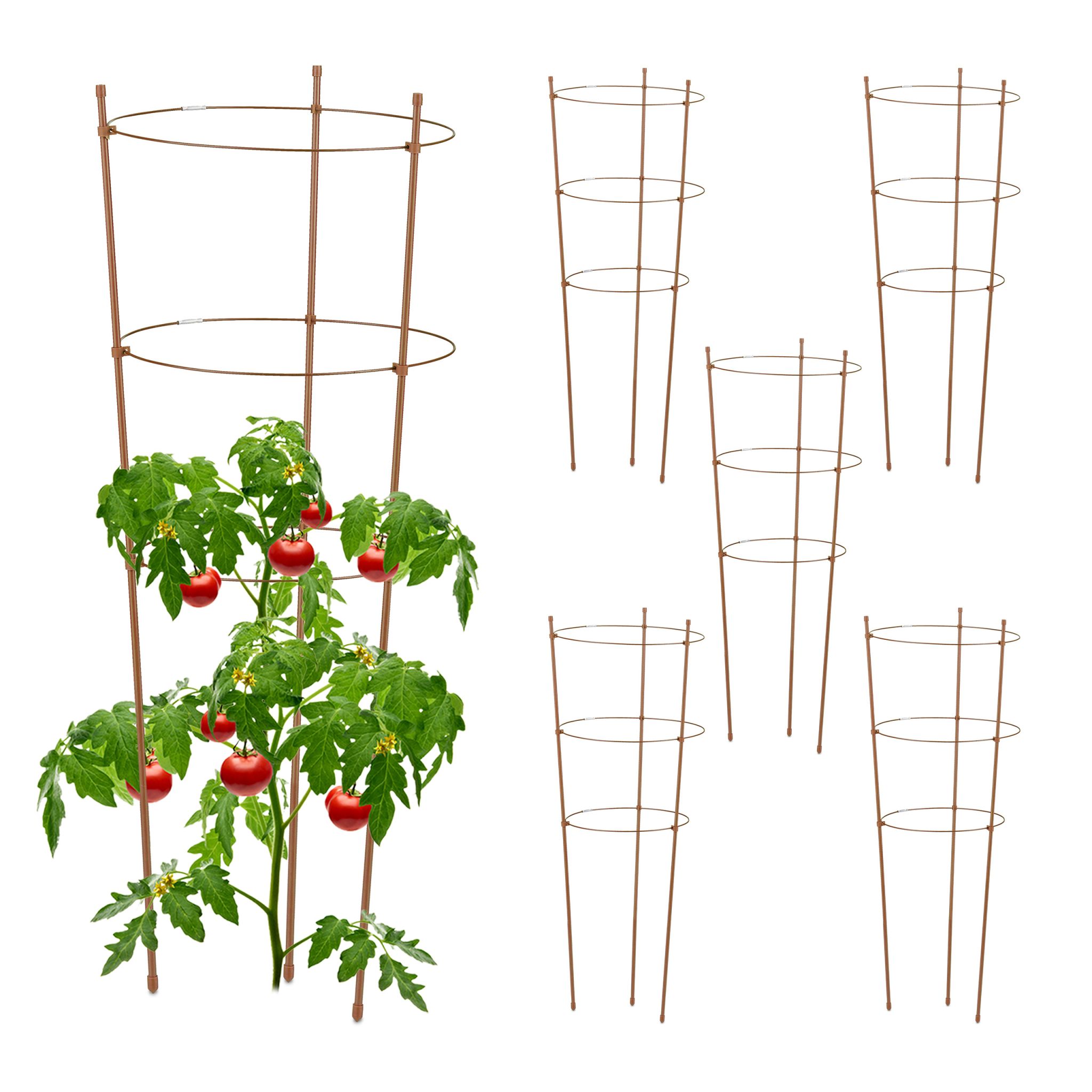 Rankhilfe 76cm 6er-Set Dunkelbraun-Hellbraun