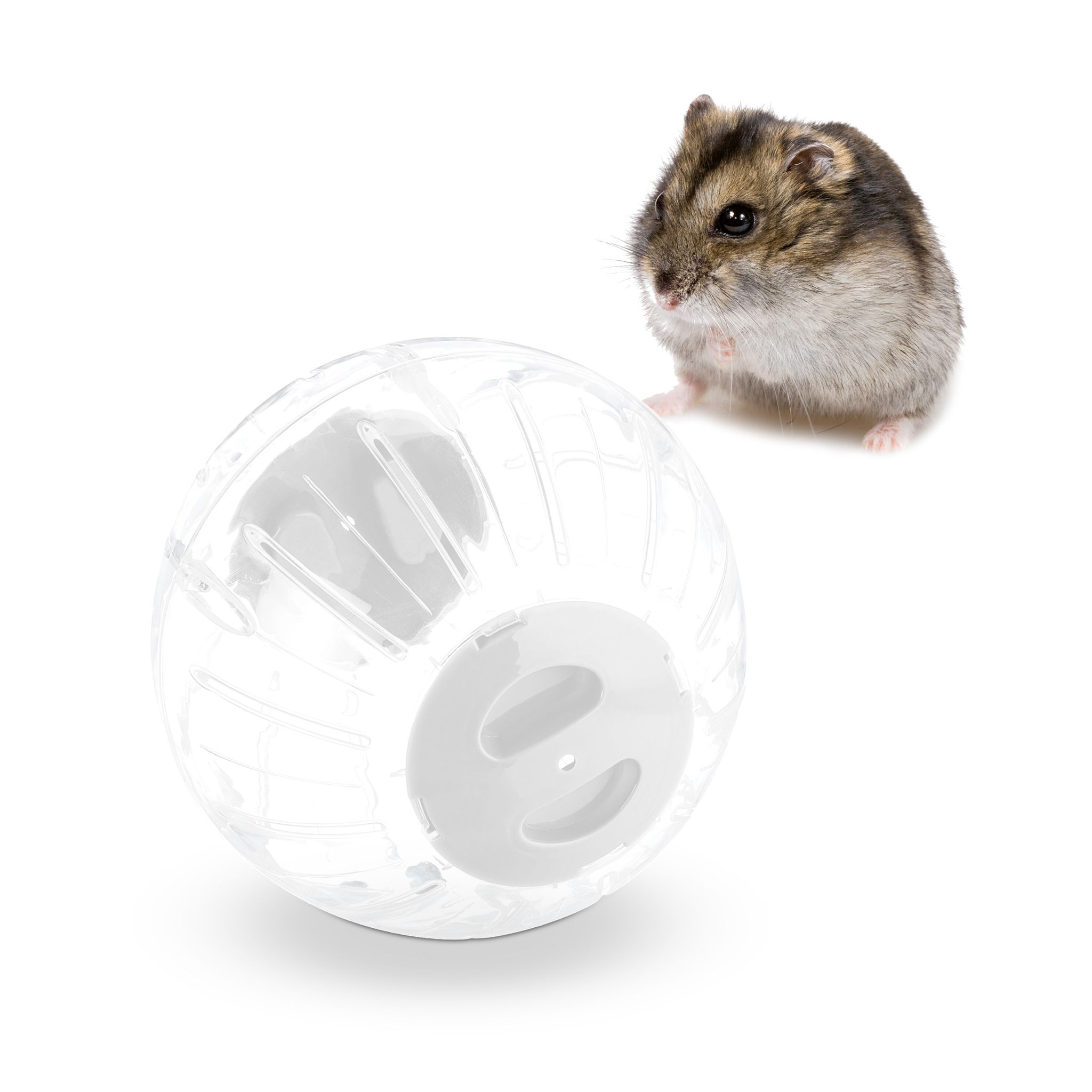 Hamsterball mit weissem Deckel Weiss-Transparent