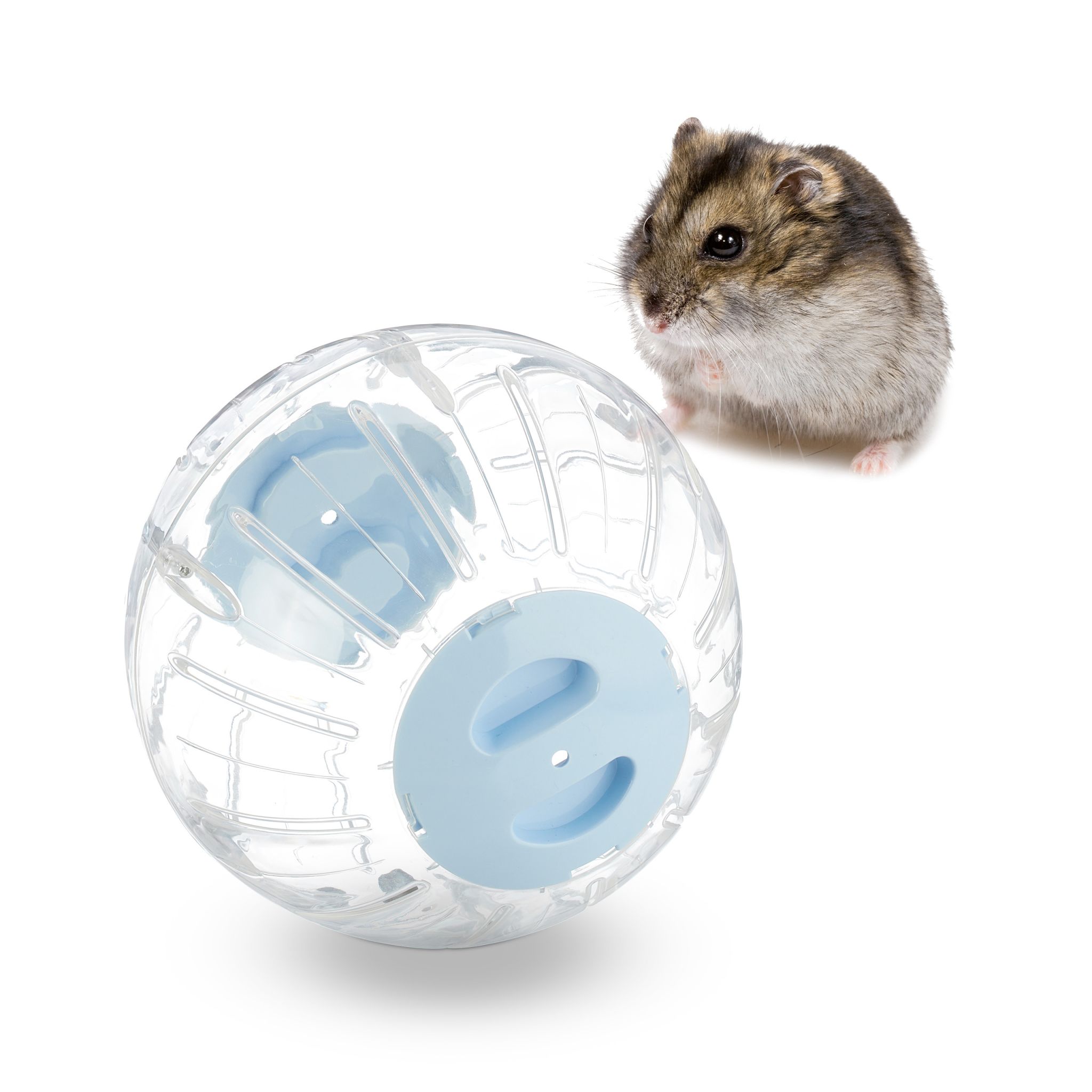 Hamsterball mit hellblauem Deckel Hellblau-Transparent