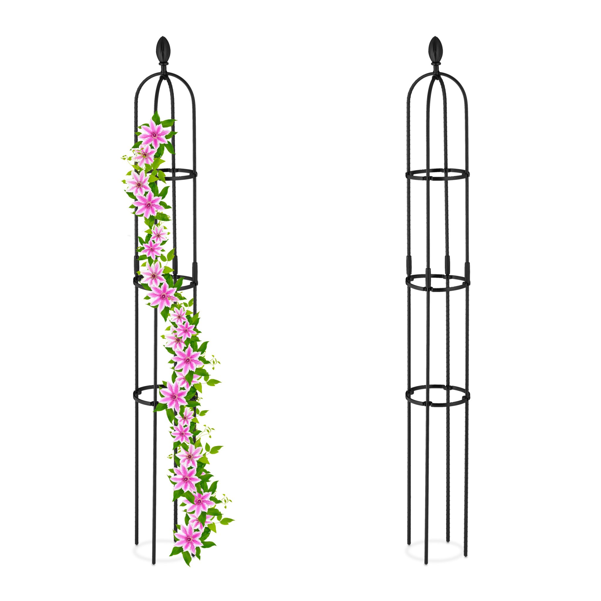 Rankhilfe 160cm 2er-Set Schwarz