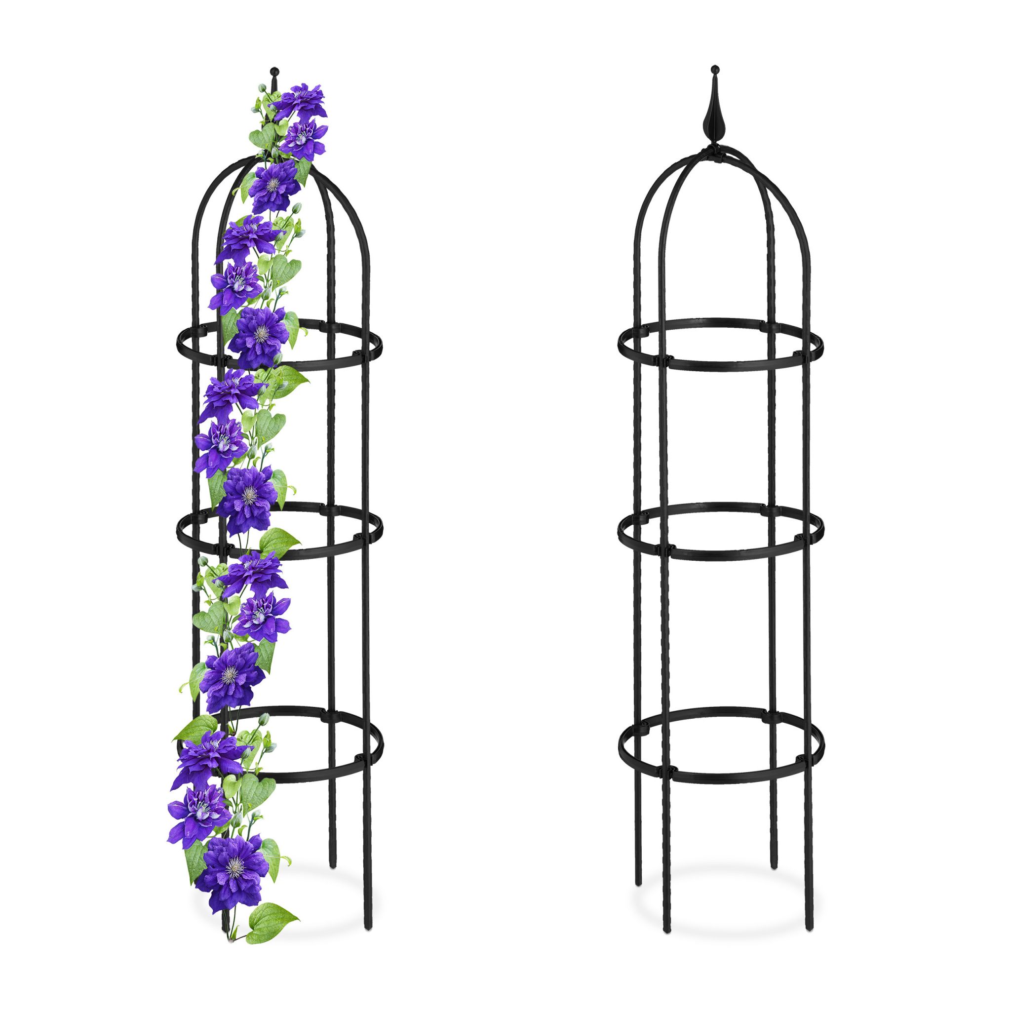 Rankhilfe 100cm 2er-Set Schwarz