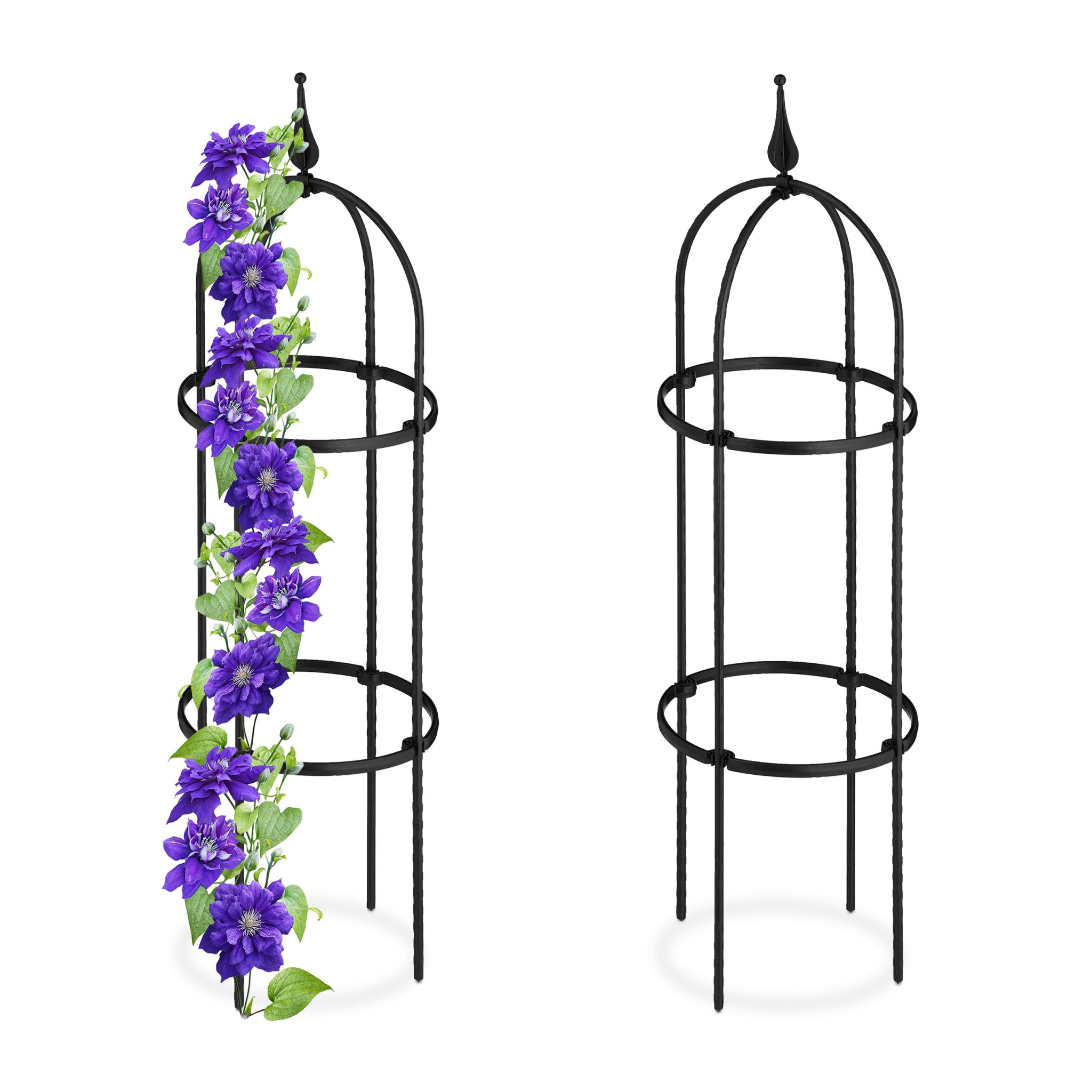 Rankhilfe 85cm 2er-Set Schwarz
