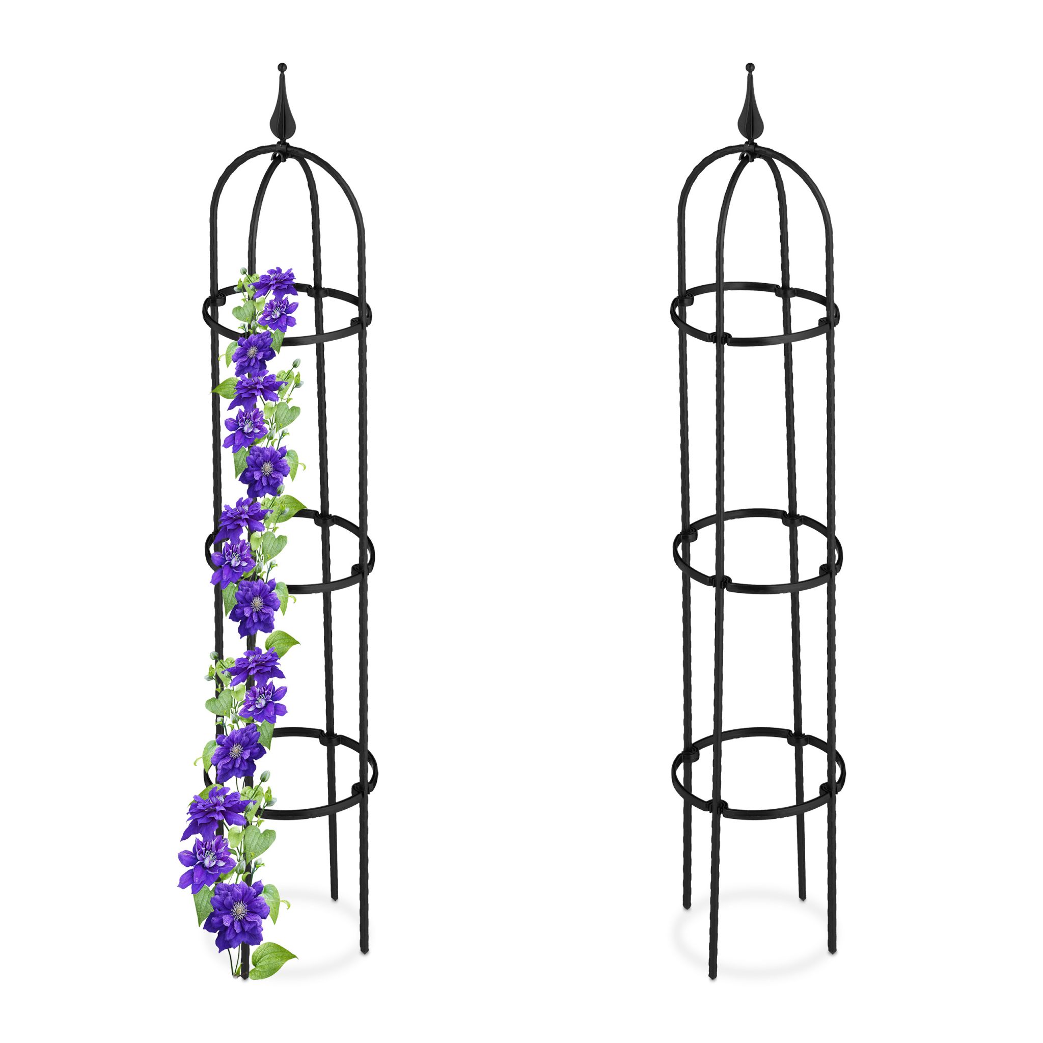 Rankhilfe 100cm 2er-Set Schwarz