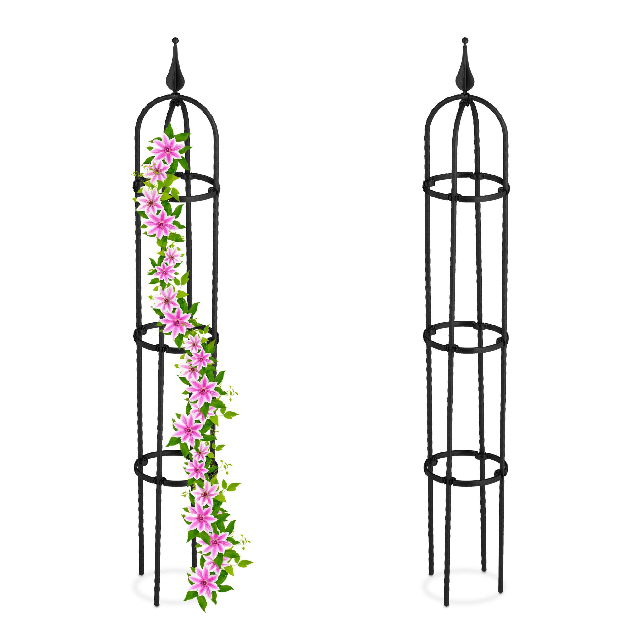 Rankhilfe 100cm 2er-Set Schwarz