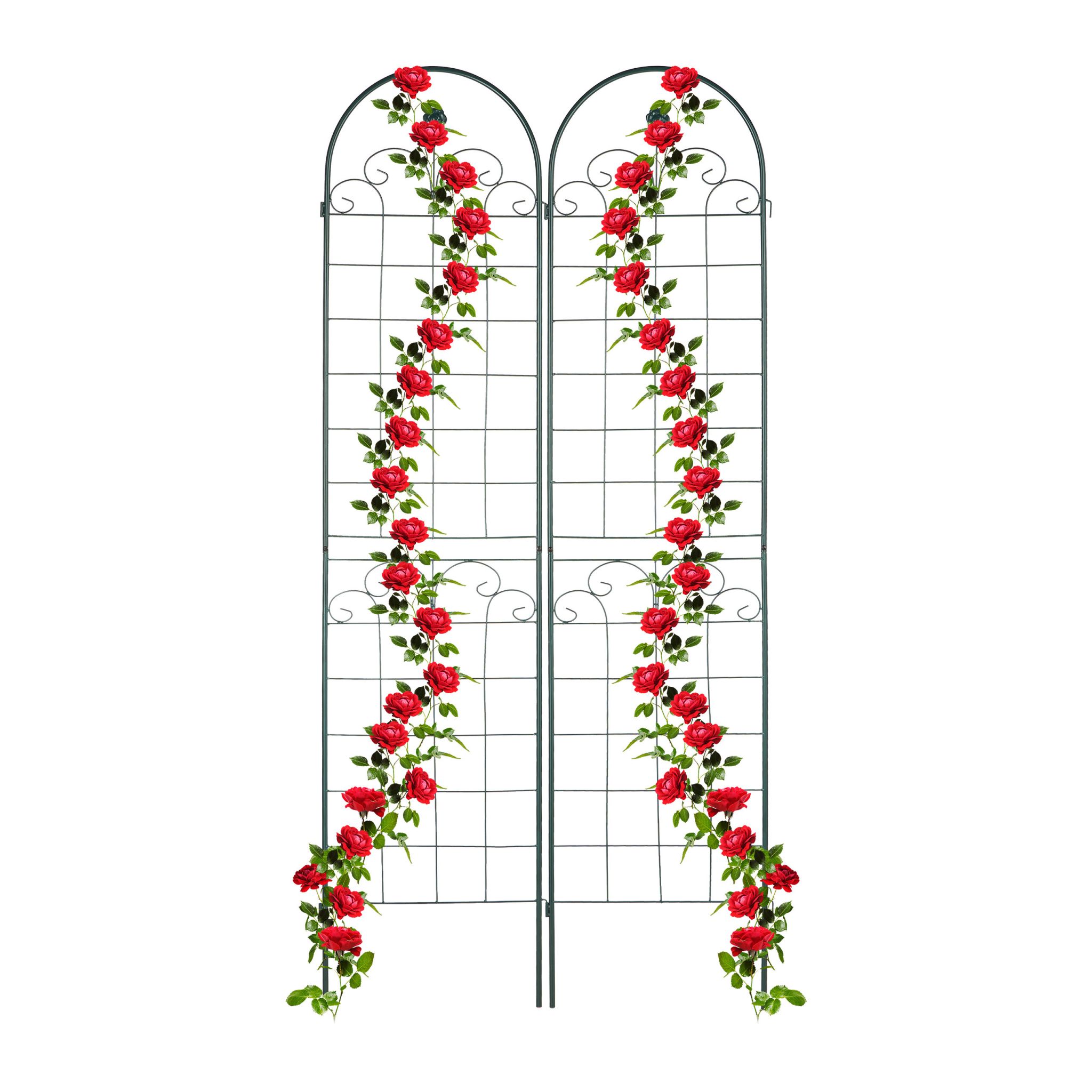 Rankgitter 2er-Set 220cm Dunkelgrün