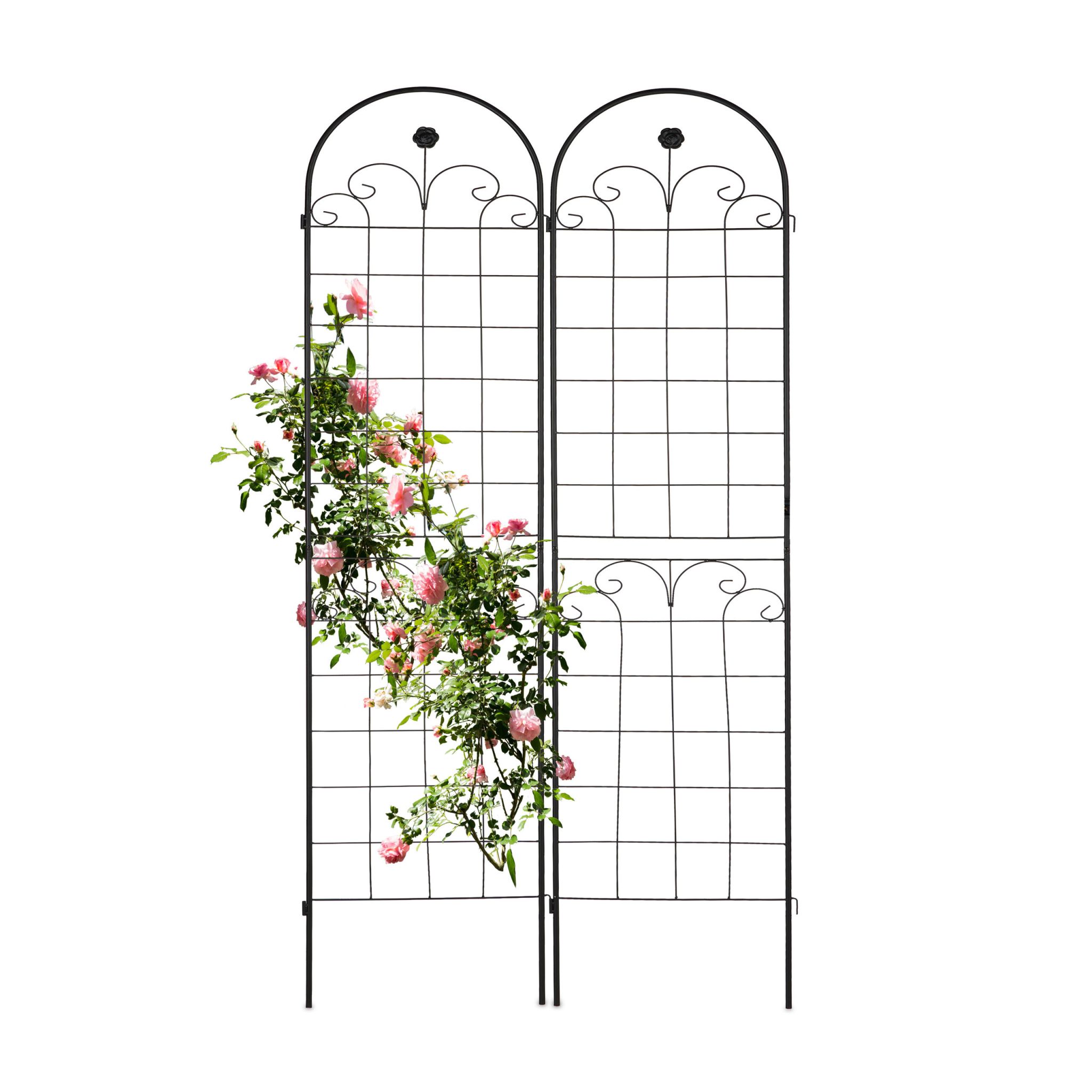 Rankgitter 180cm 2er-Set Schwarz