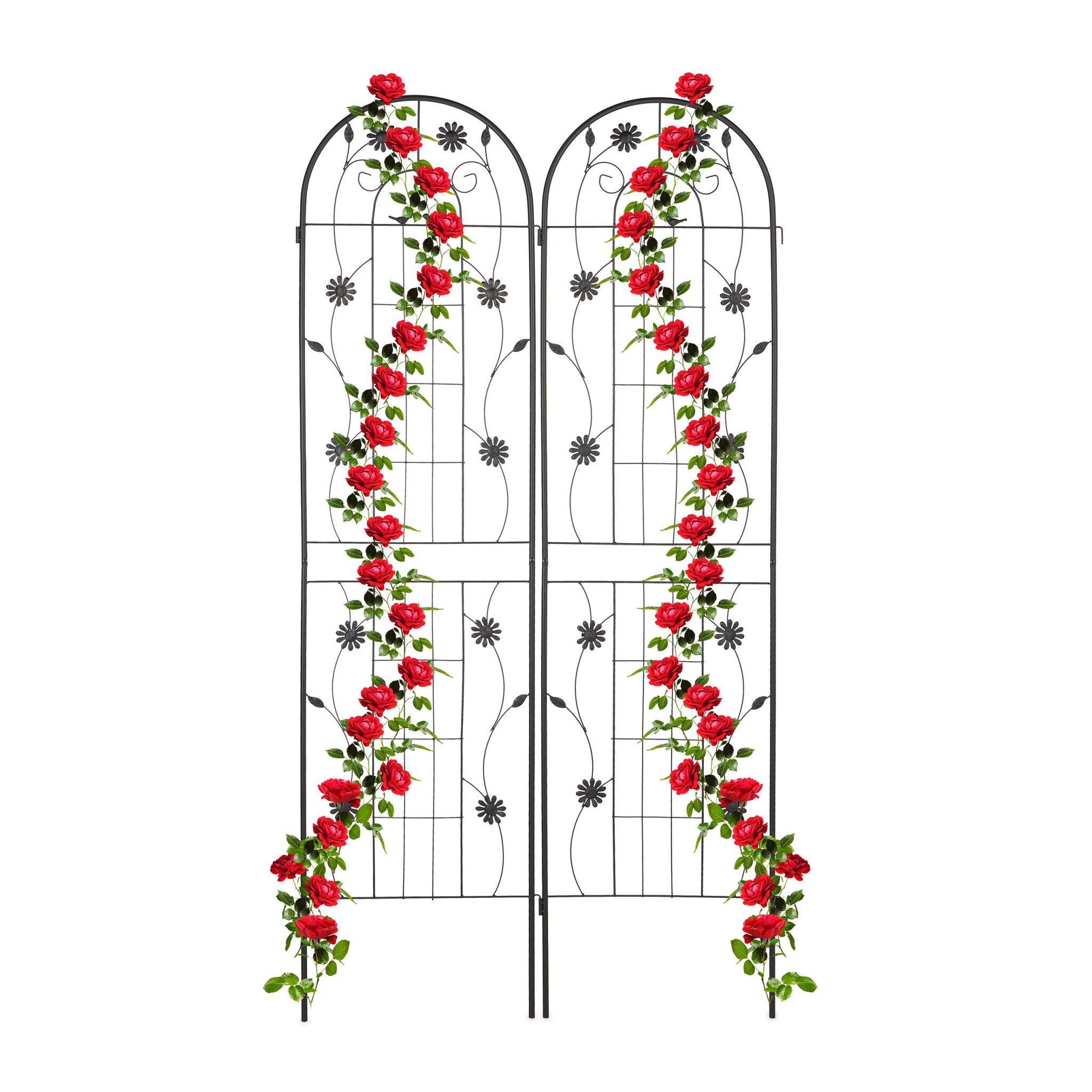 Rankgitter 2er-Set 200cm Schwarz