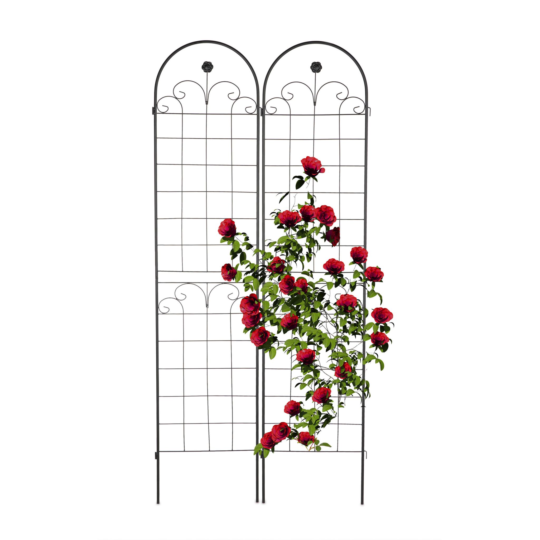 Rankgitter 2er-Set 220cm Schwarz
