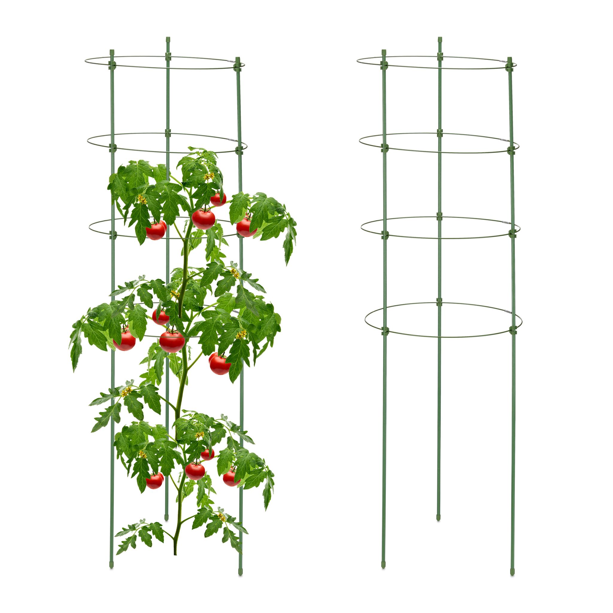 Rankhilfe 2er-Set 91cm Dunkelgrün