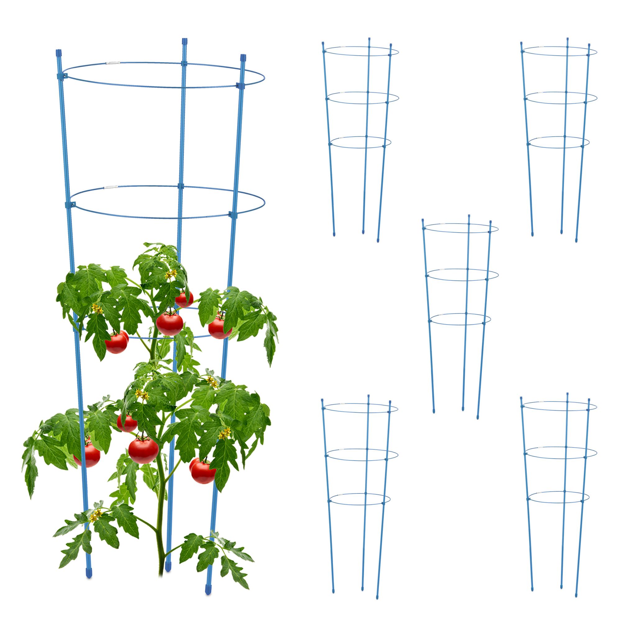 Rankhilfe 6er-Set 76cm Blau
