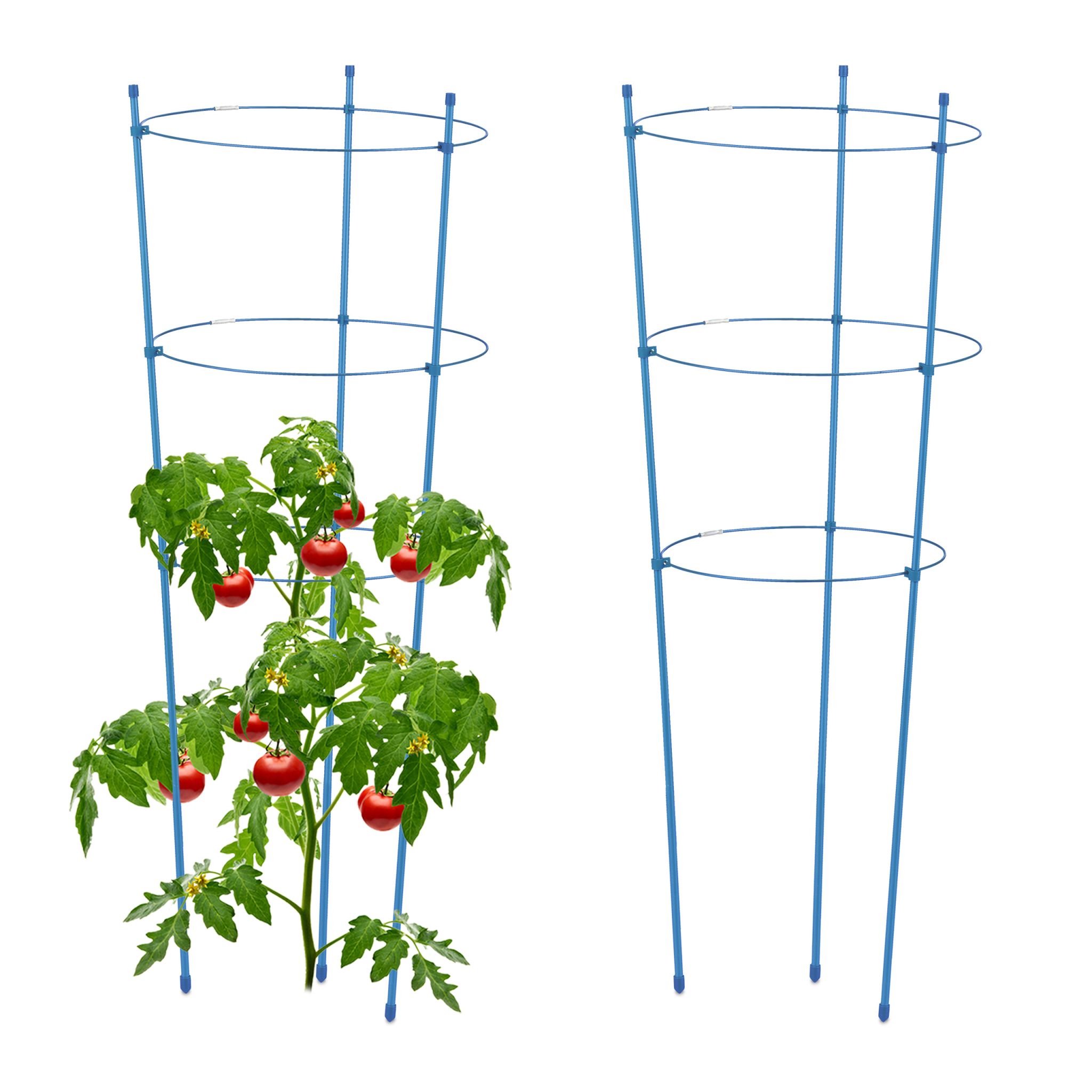 Rankhilfe 2er-Set 76cm Blau