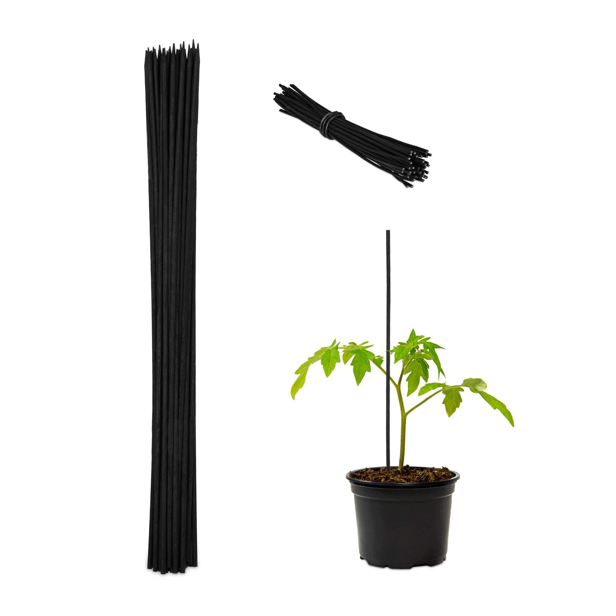 Pflanzenstab 60cm 50er-Set Schwarz