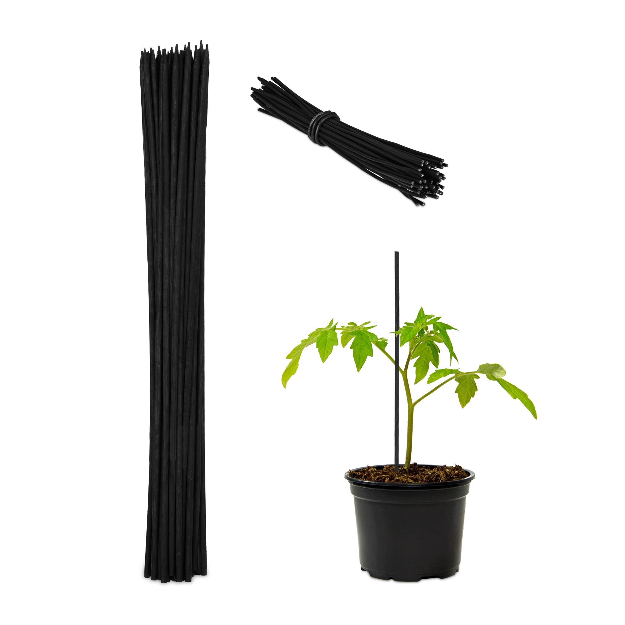 Pflanzstäbe 30cm 50er-Set Schwarz