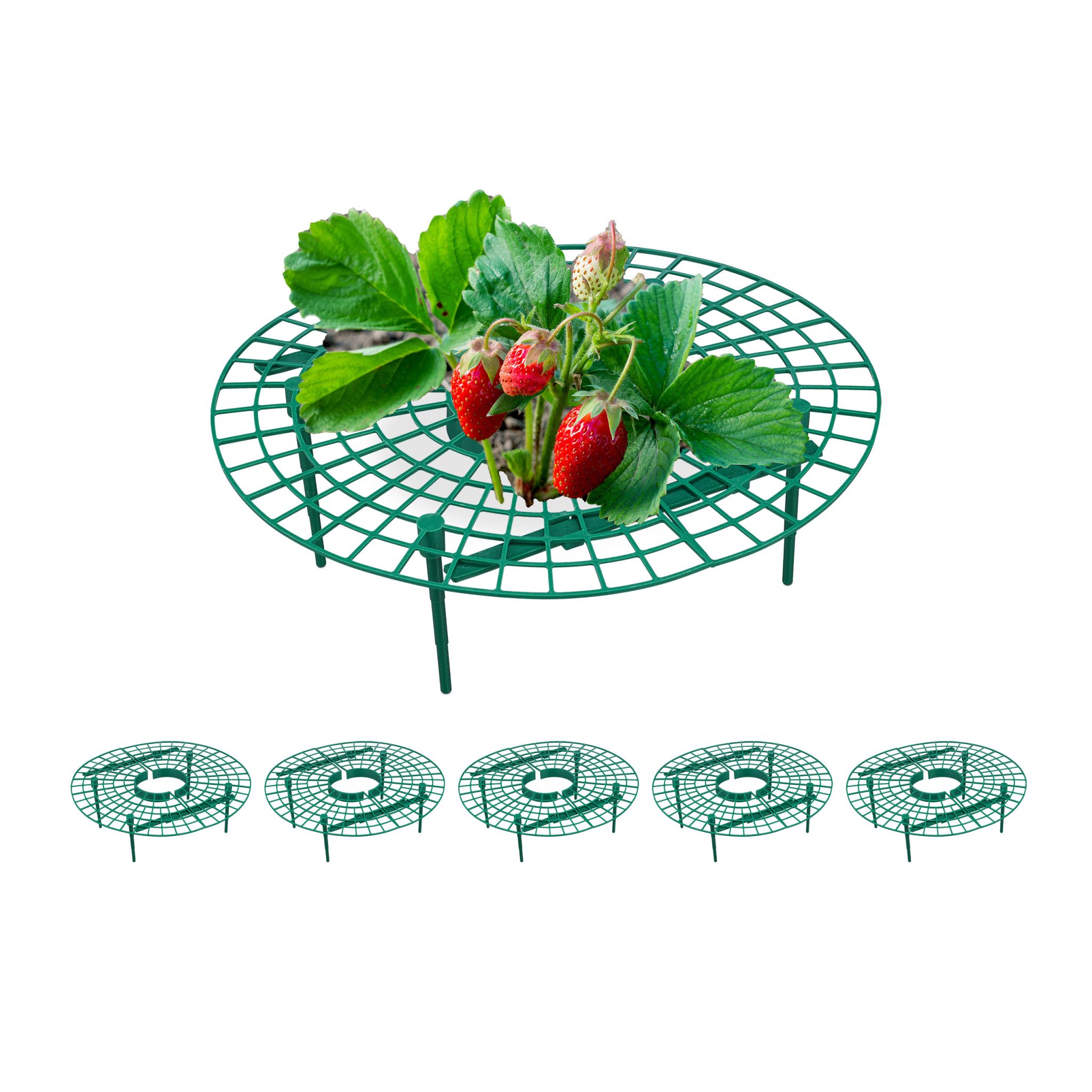 Erdbeerreifer 6er-Set Grün