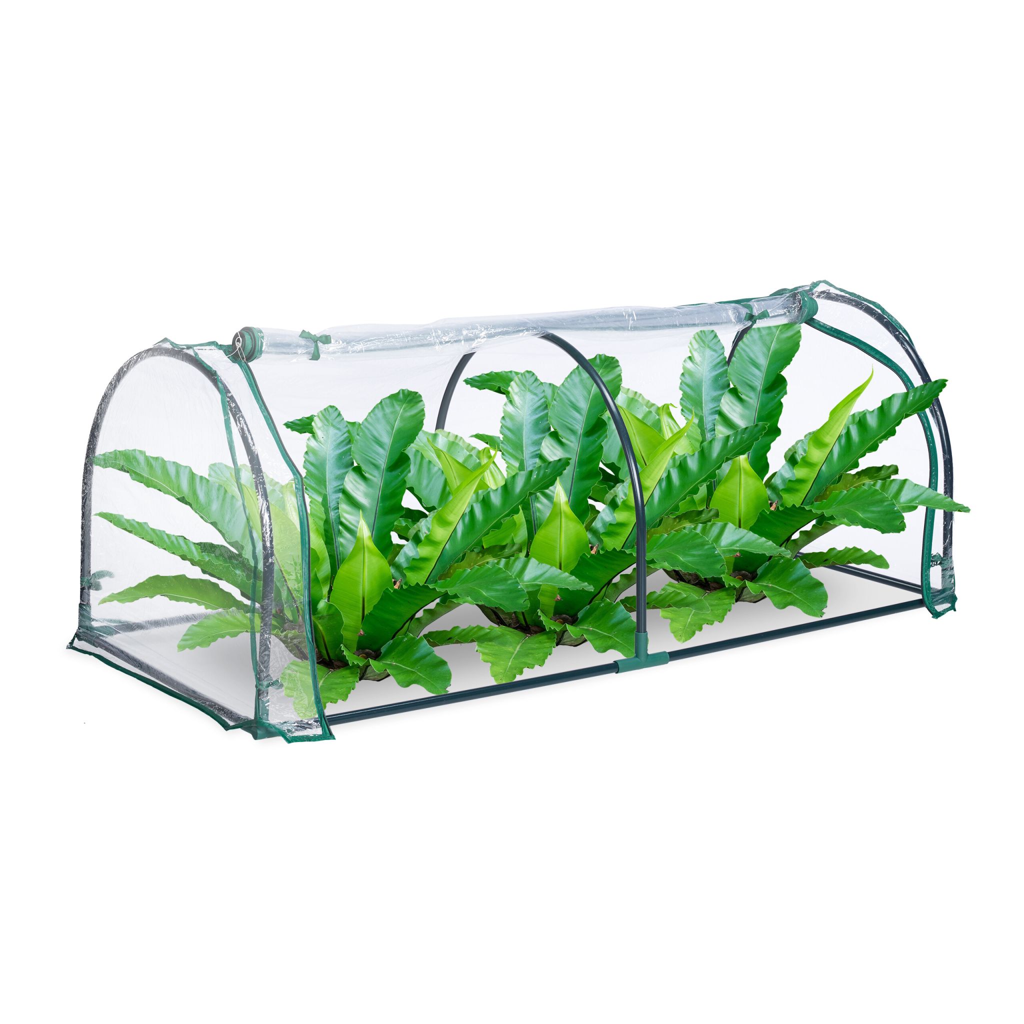 Foliengewächshaus Dunkelgrün-Transparent