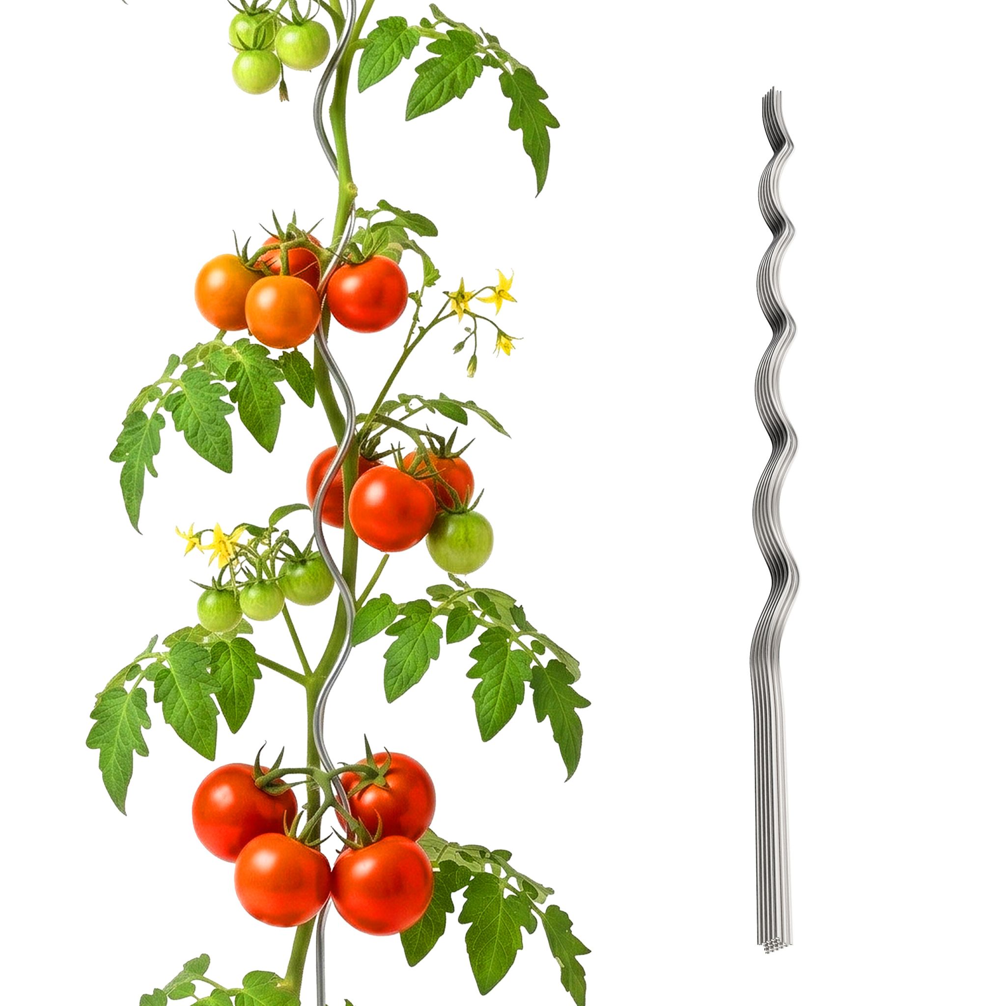 Tomaten Spiralstab Set 150cm Silber