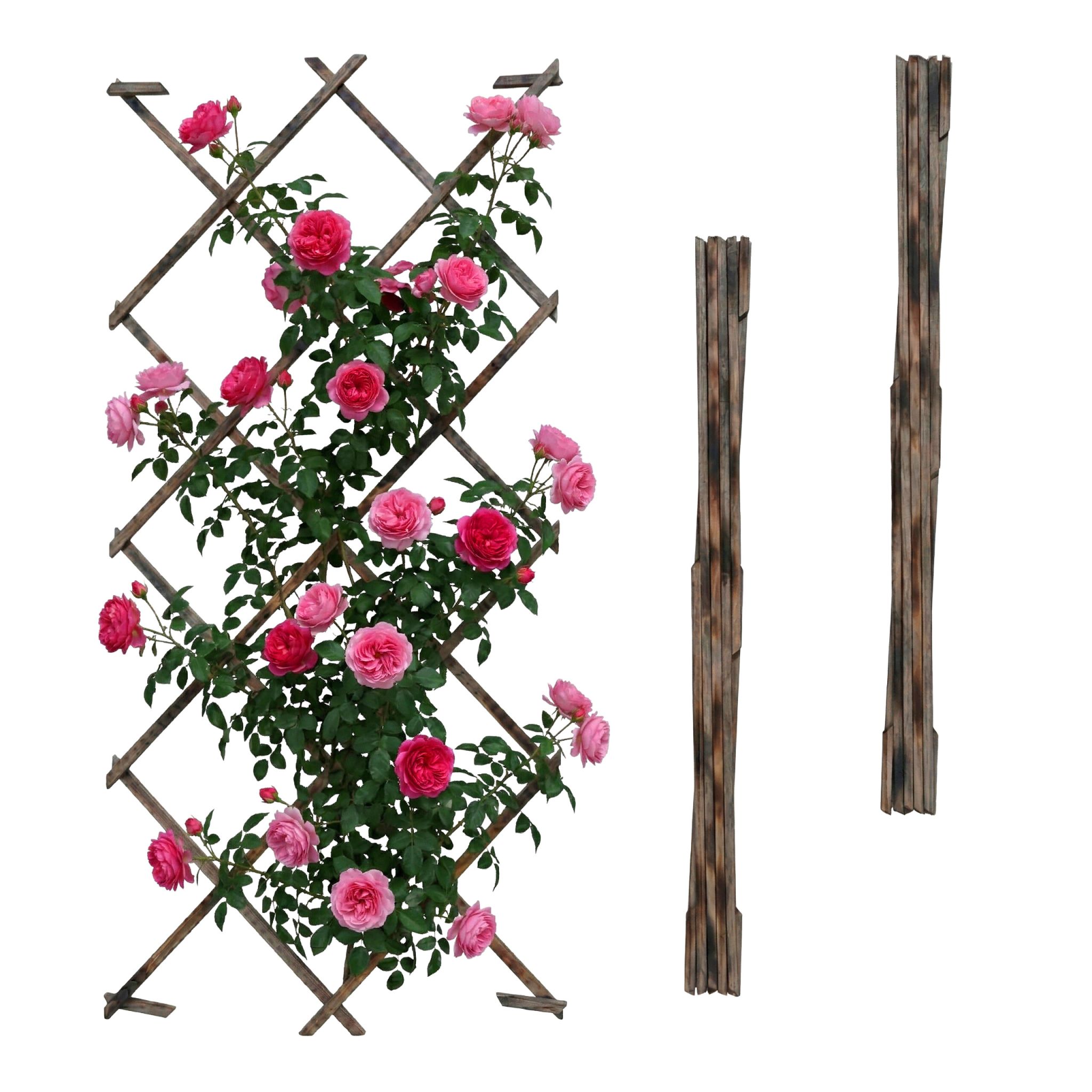 Ausziehbares Rankgitter 3er-Set Braun