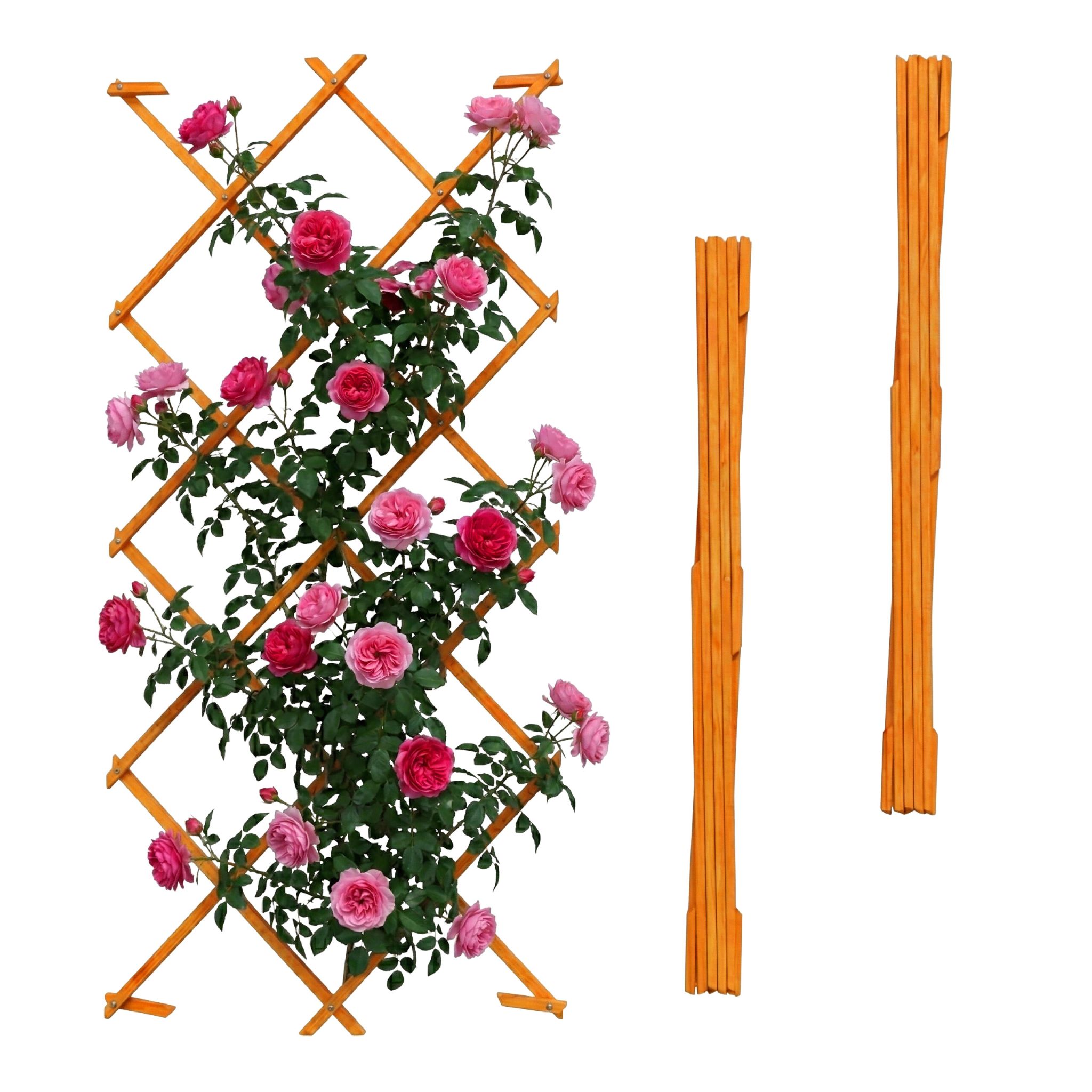 Ausziehbares Rankgitter 3er-Set Orange