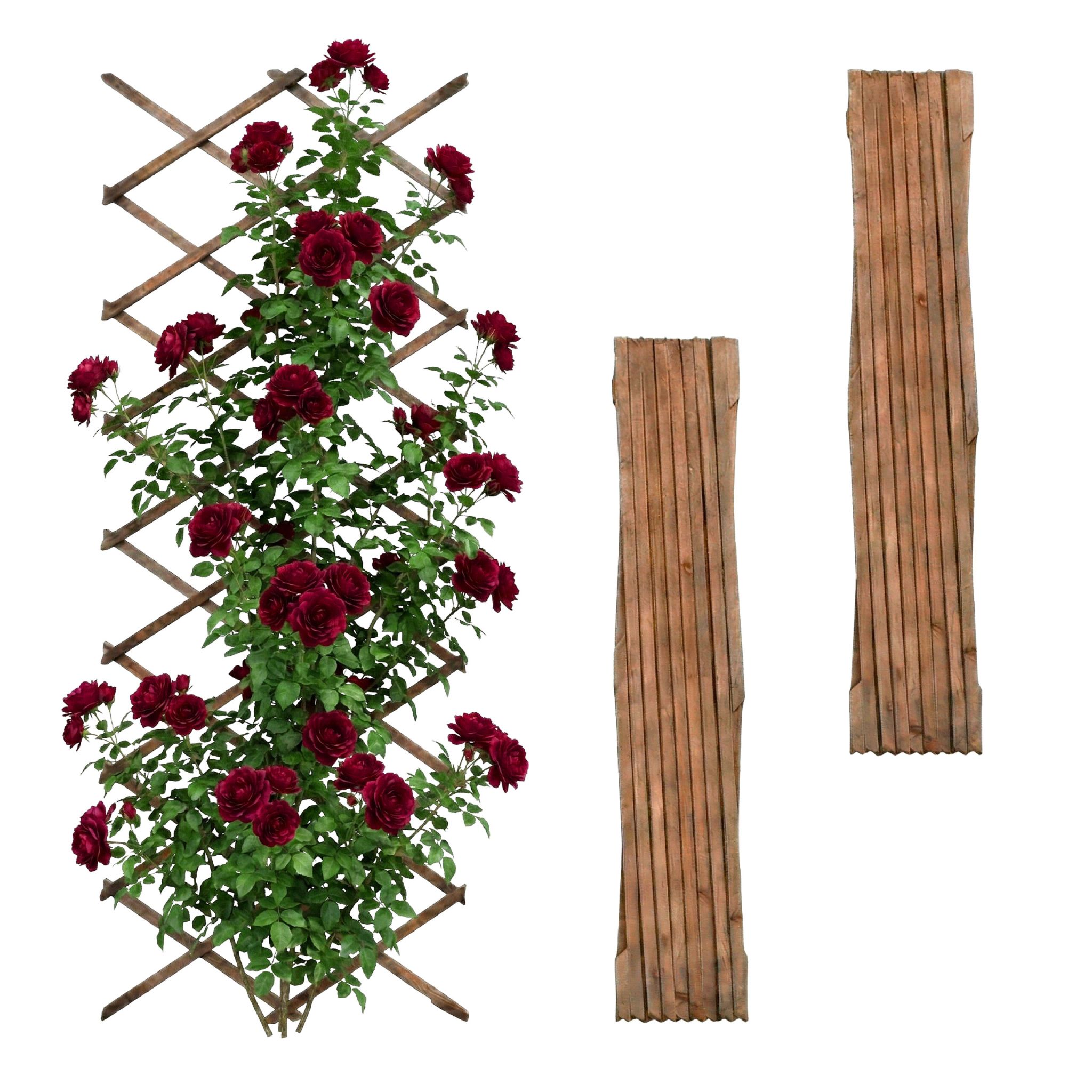 Ausziehbares Rankgitter 3er-Set Braun