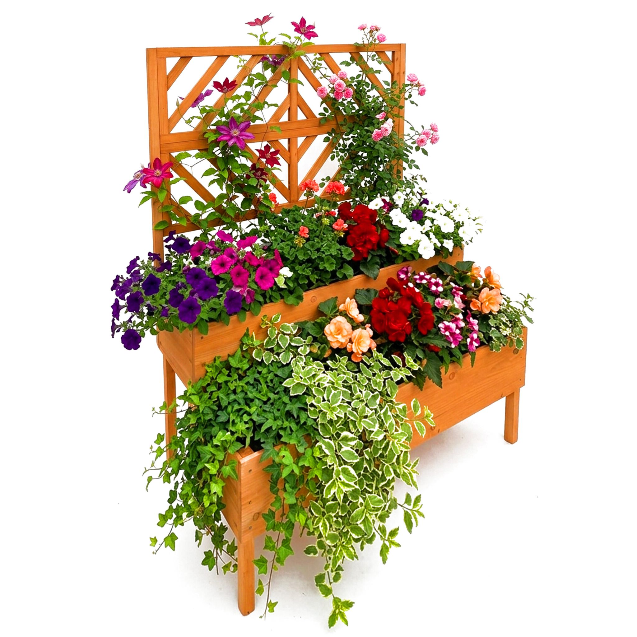Blumenkasten mit Spalier Holz Orange