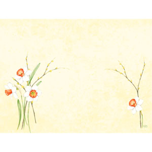 Dunicel Dækkeserviet 30 x 40 cm Daffodil Joy - 100 stk/pk