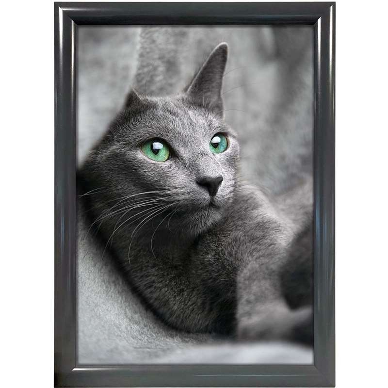 Click frame with 25mm aluminum profile, anthracite gray - 50x70 cm