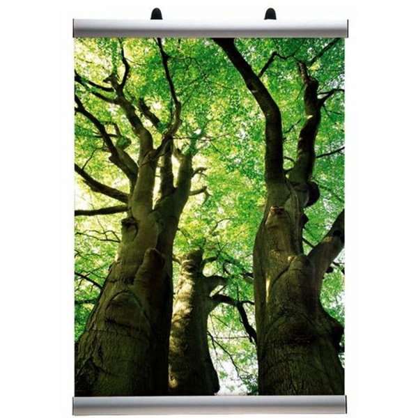 DSI Banner-Line Set, plakatophæng med 30mm aluminium plakatlister - 100cm (B0), Model 251