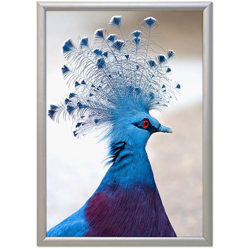 Click frame with 17mm aluminum profile, silver - A4