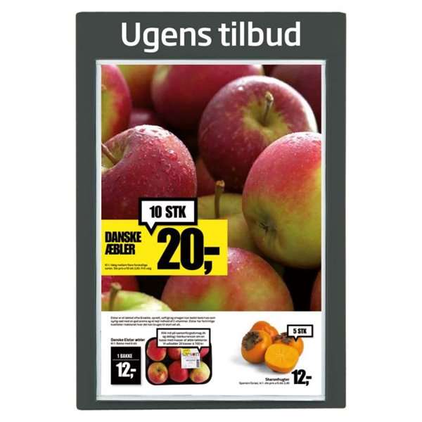 DSI Info Modul tavle i plastik med APET frontplader, koksgrå - 1xA1, Model 403