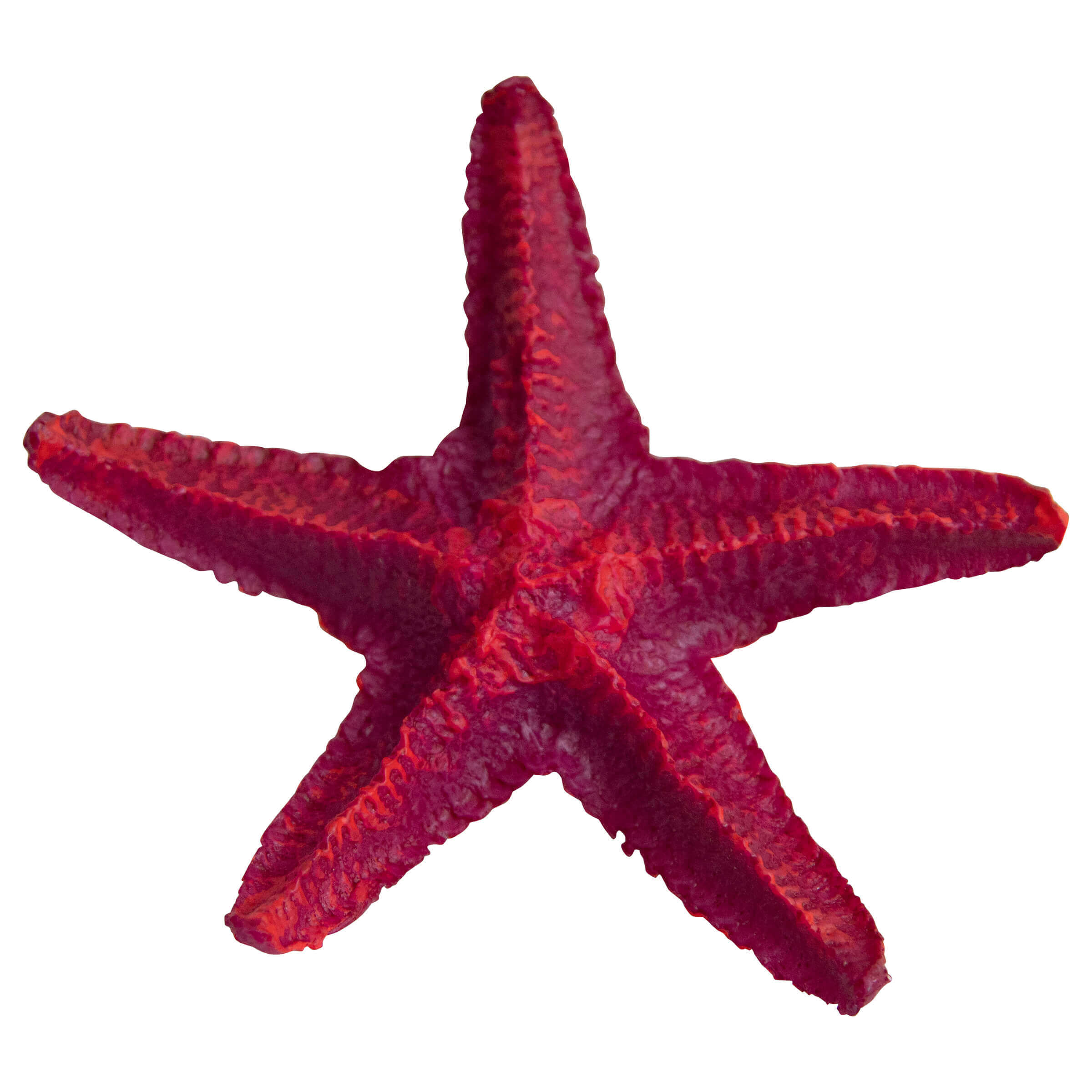 Deep Sea Aquariumdekoration Star Fish 0.053 kg