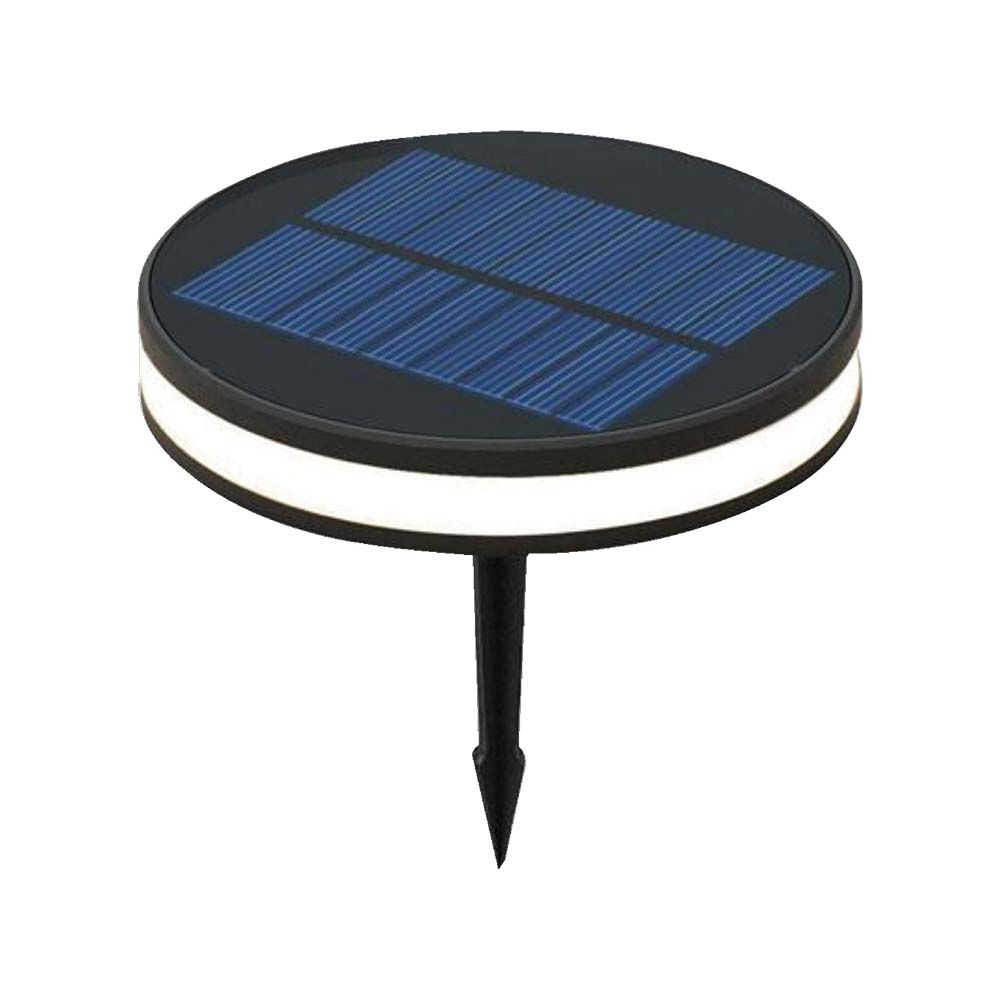 Piantana Solare LED da Giardino 2W con Picchetto Colore Nero e Nero 3000K