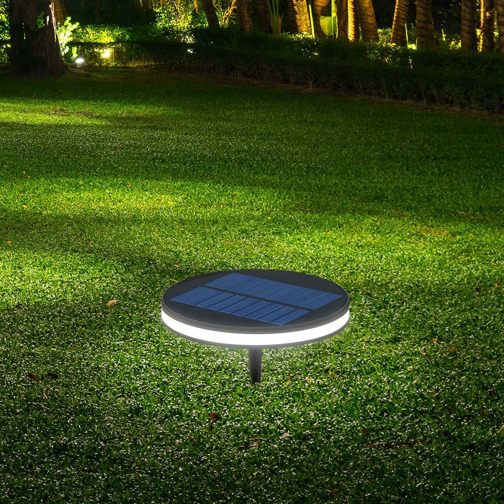 Piantana Solare LED da Giardino 2W con Picchetto Colore Nero e Nero 3000K